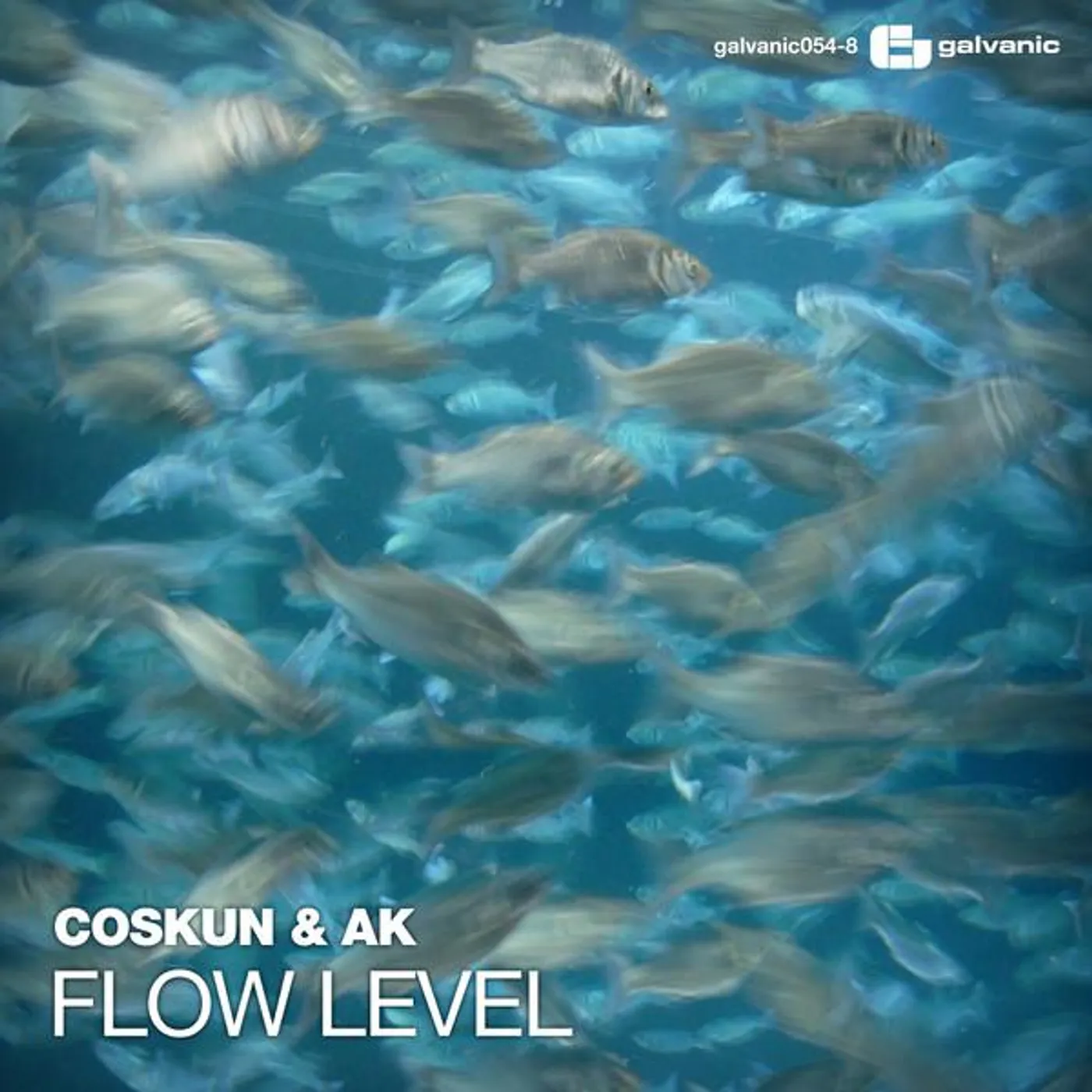 Coskun & Ak