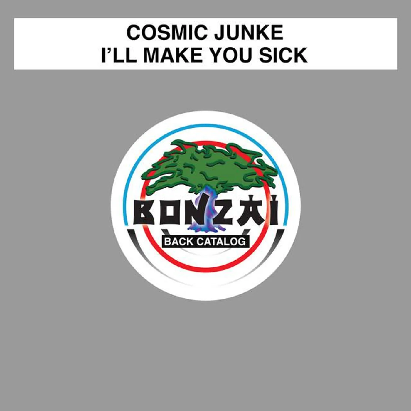Cosmic Junkie