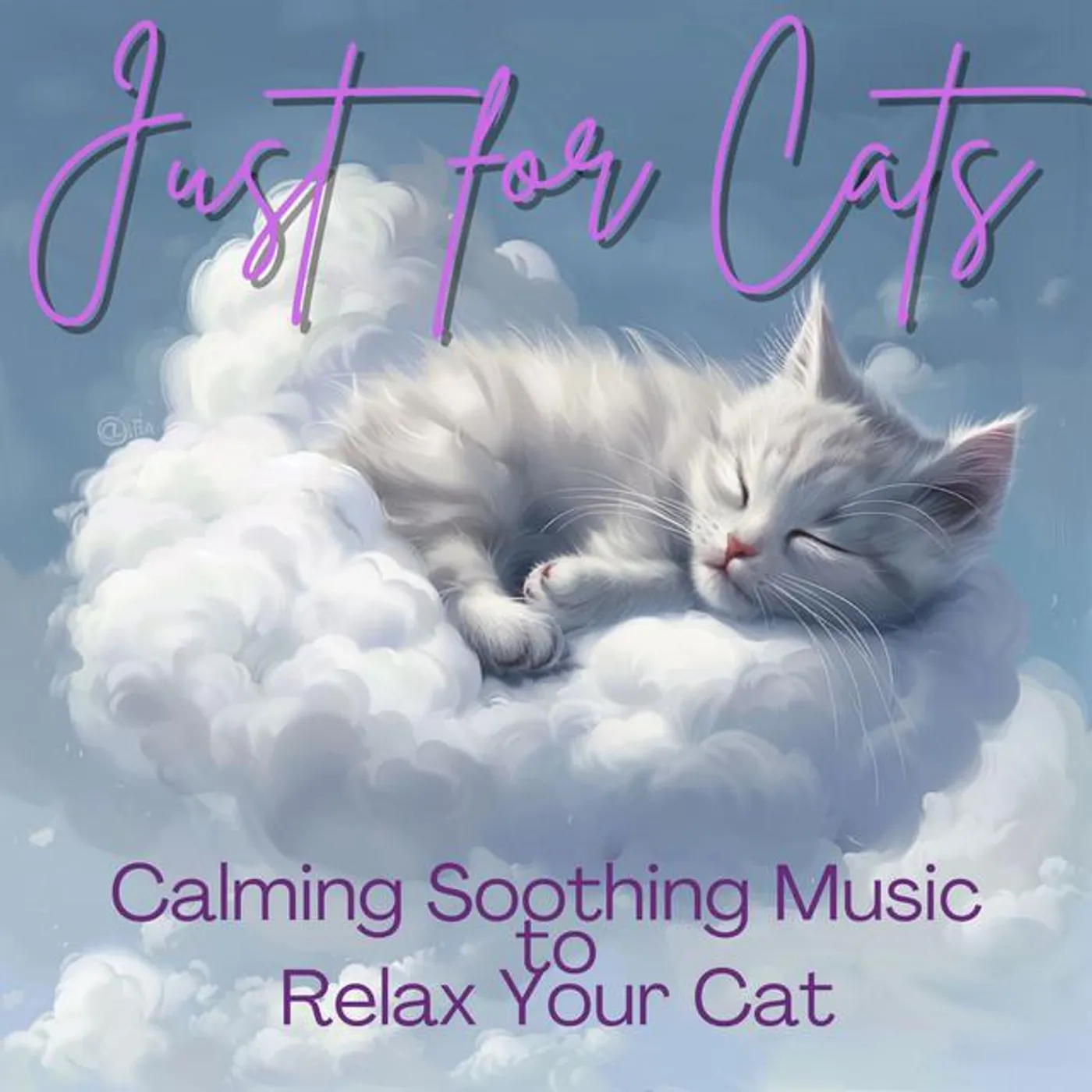Cat Music Zone