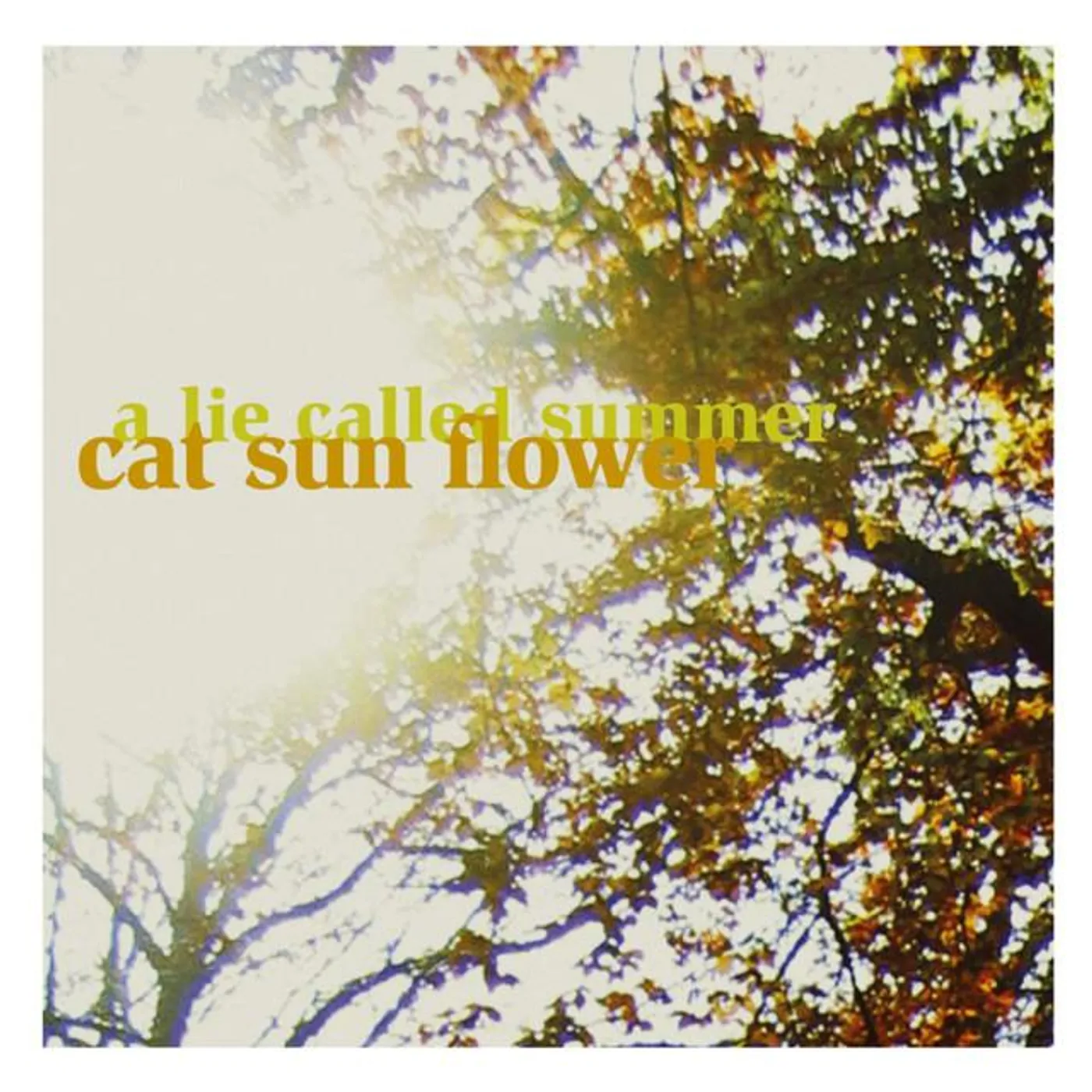 Cat Sun Flower