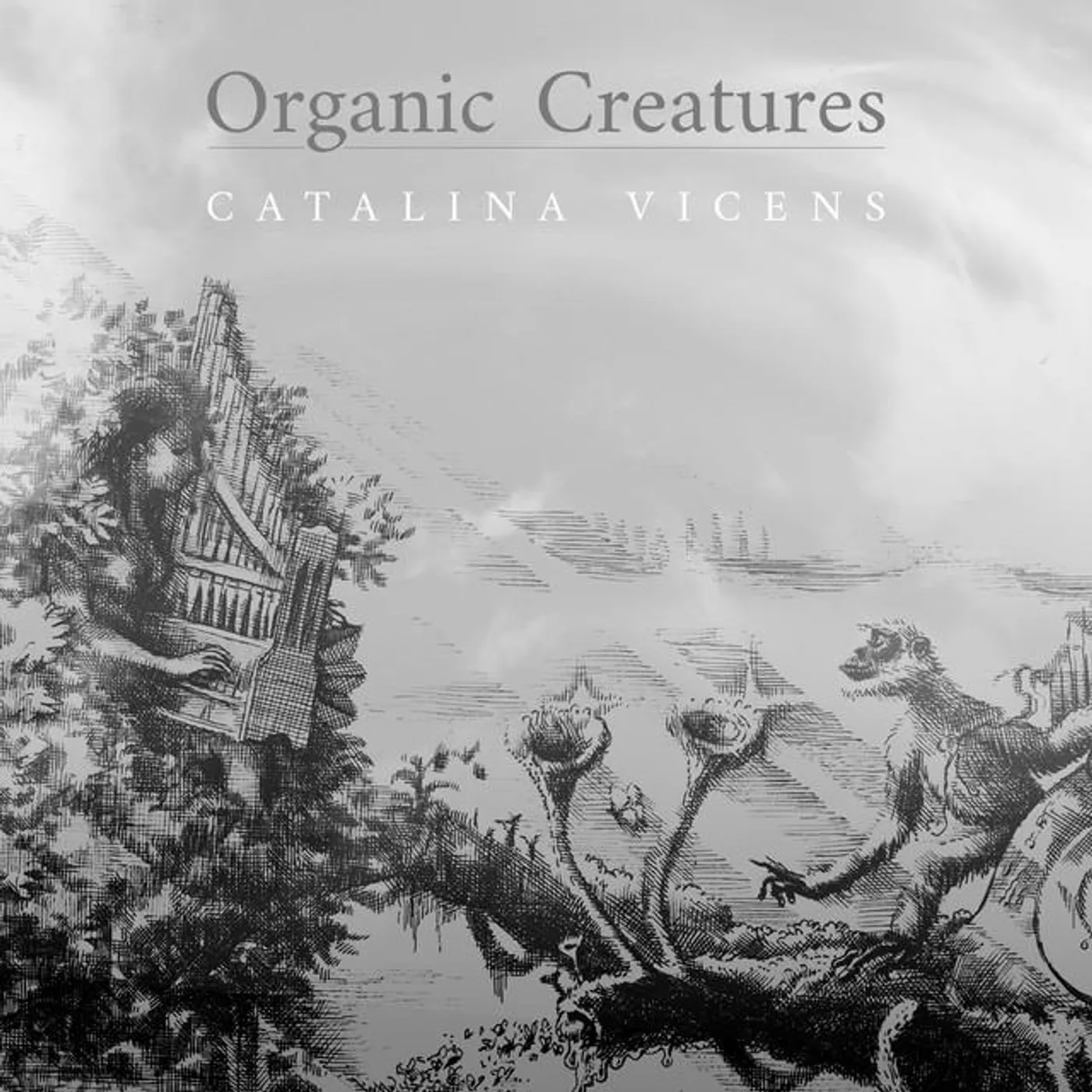 Catalina Vicens Brand Page