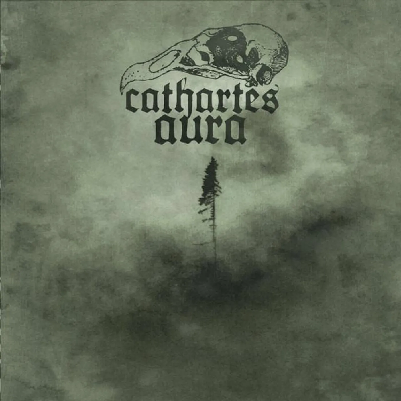 Cathartes Aura
