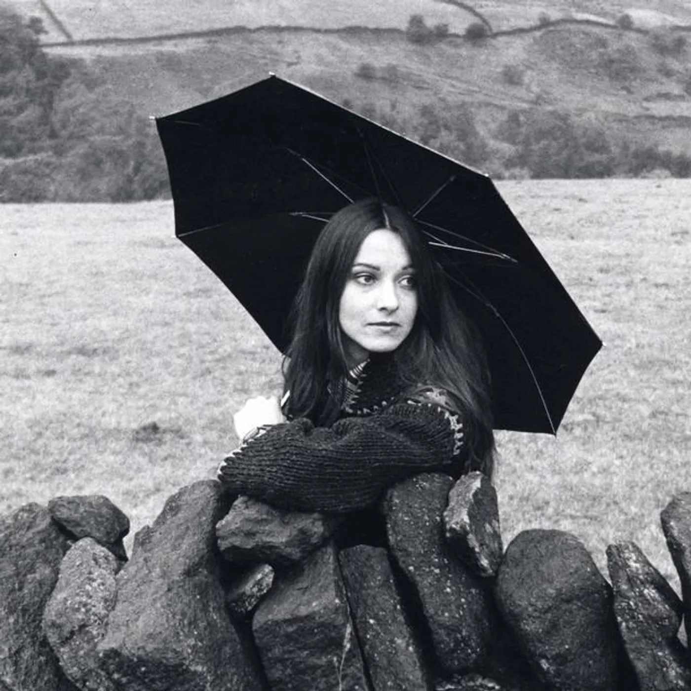Ruthann Friedman - Constant Companion | Deezer