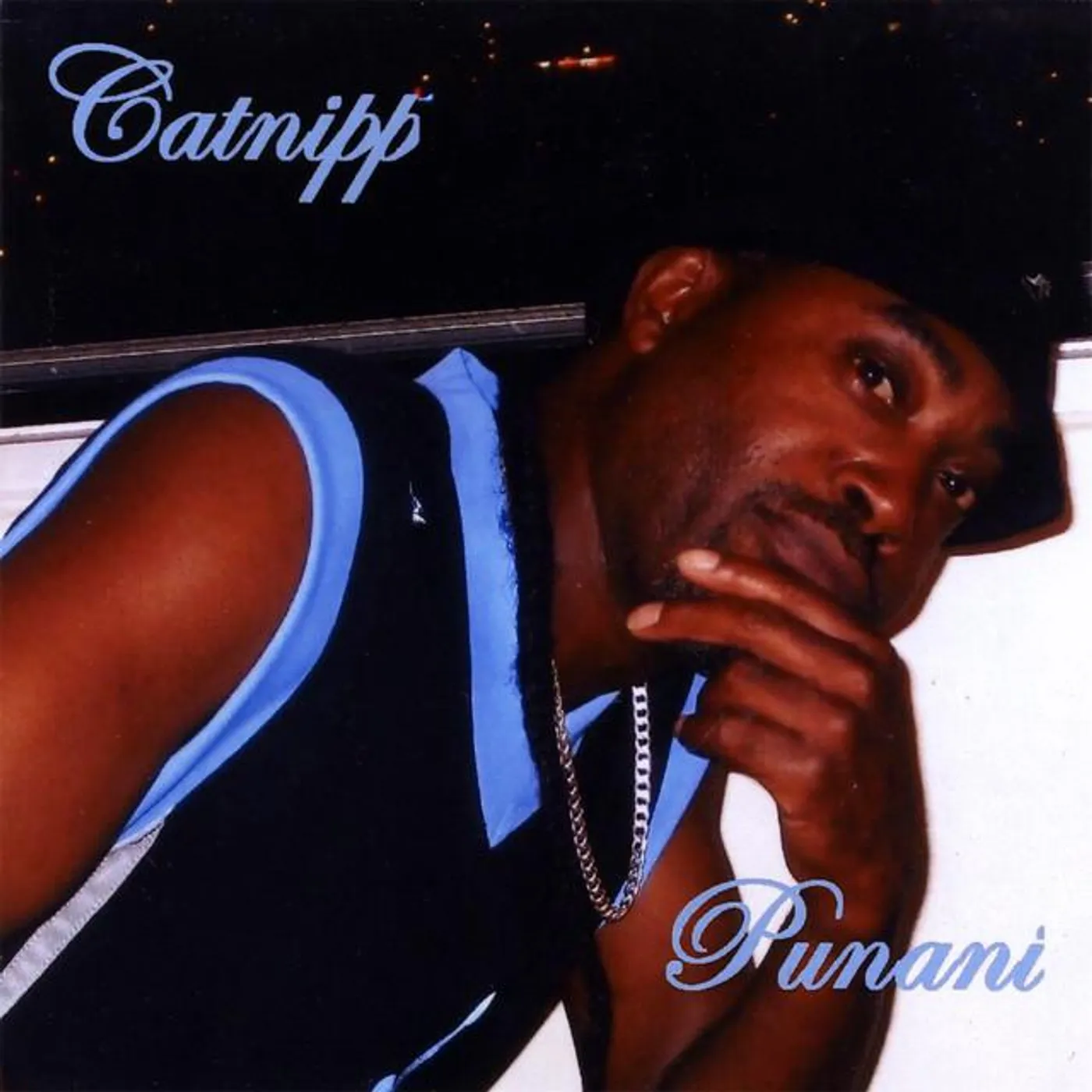 Catnipp