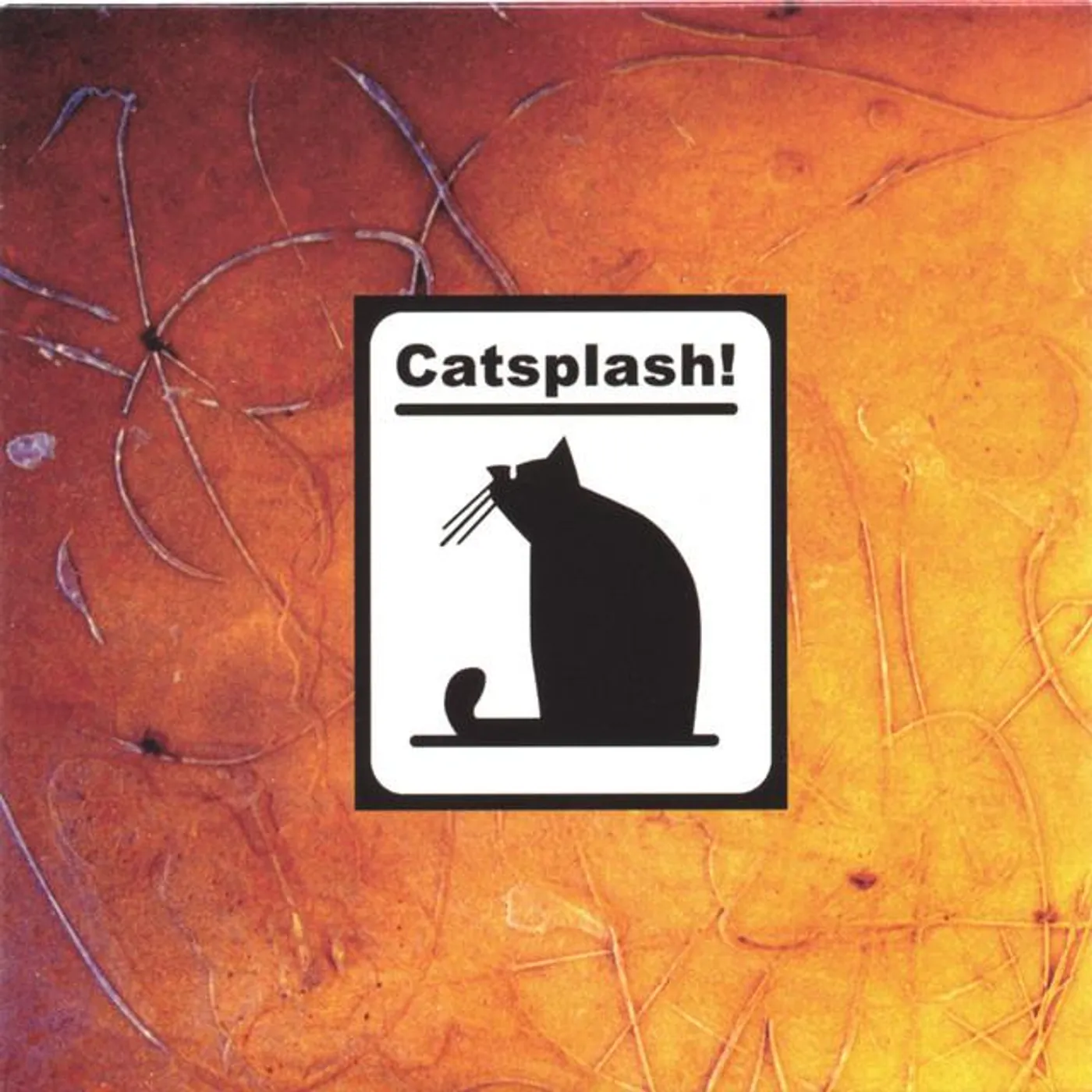 Catsplash Brand Page