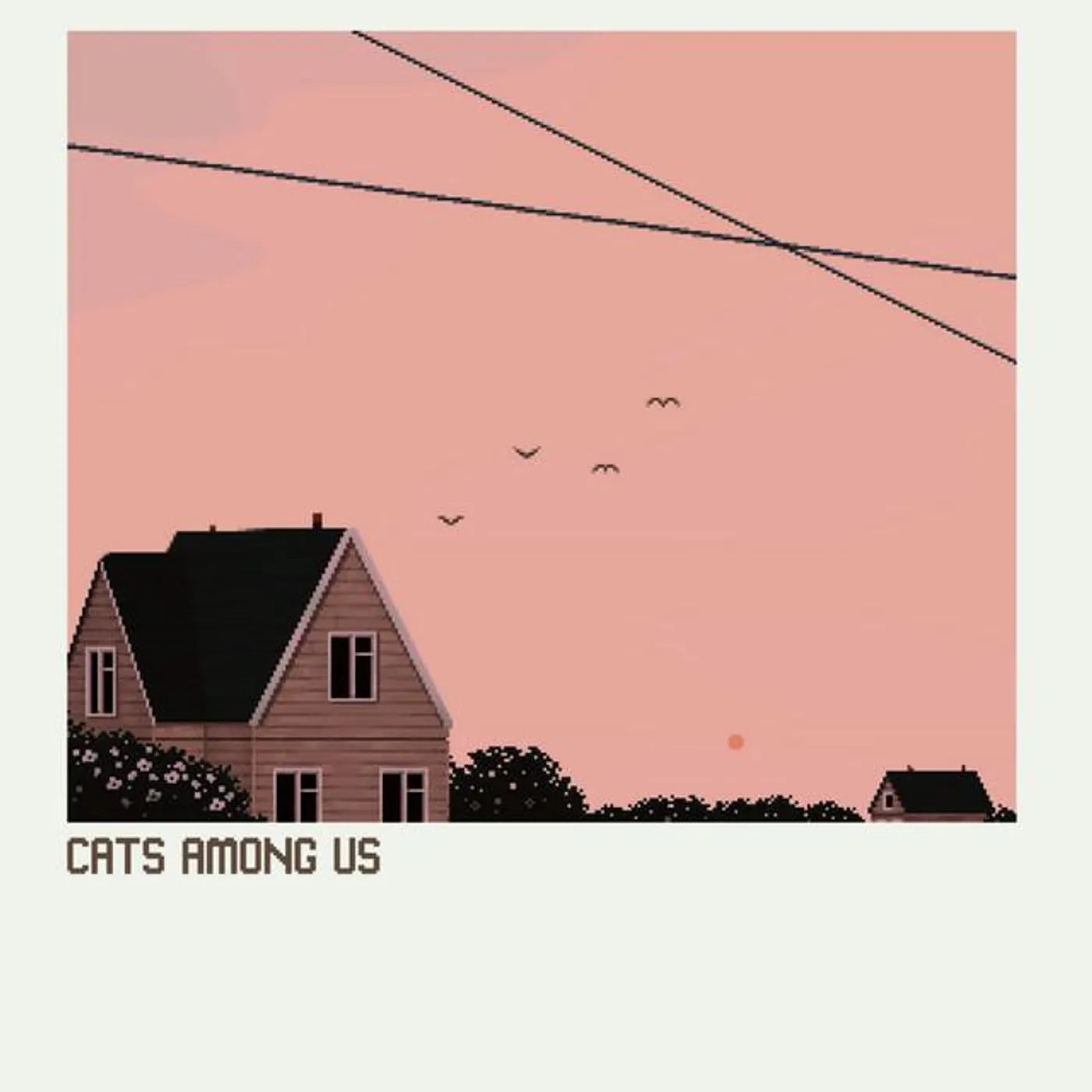 cats among us