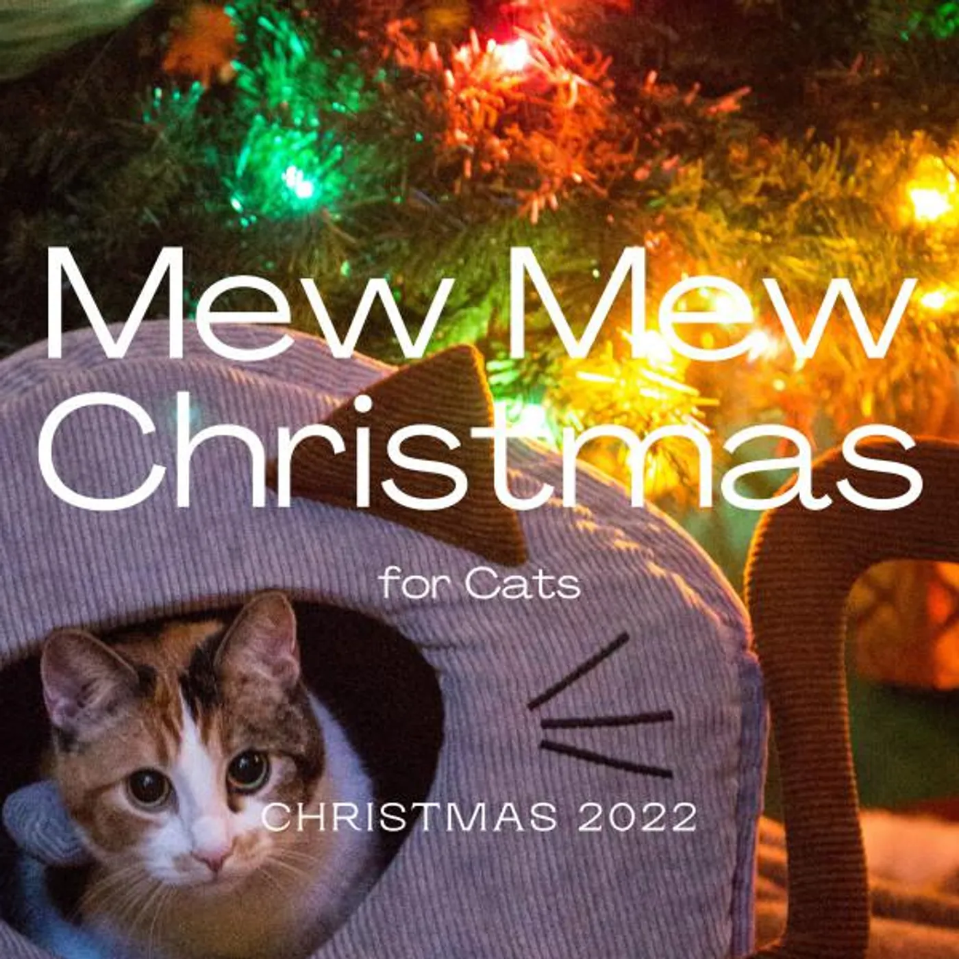 Cats & Dogs