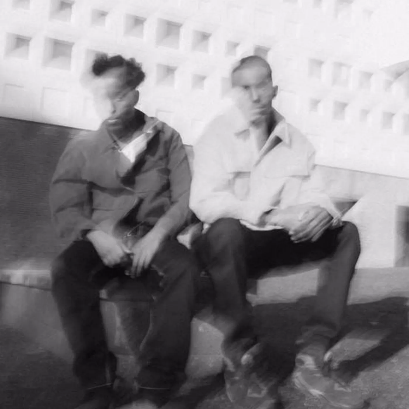 Cavallini & Shrty