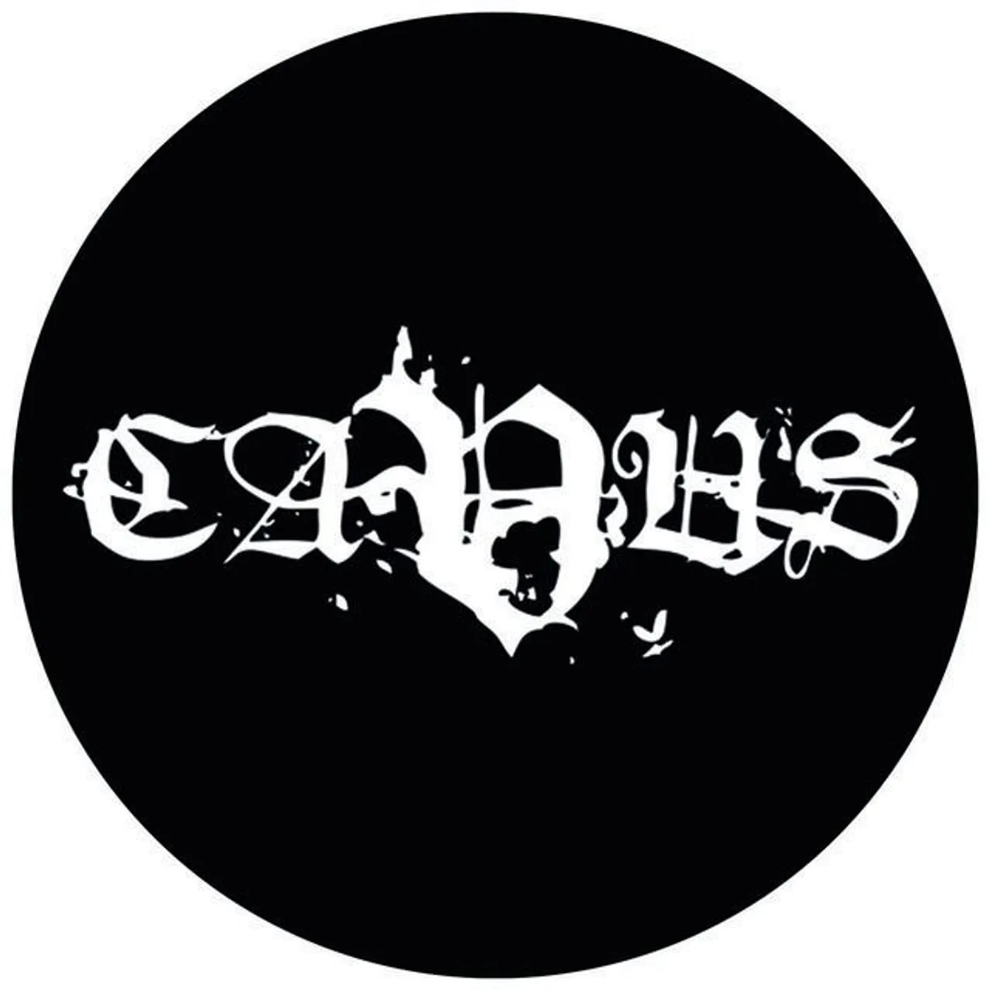 Cavus
