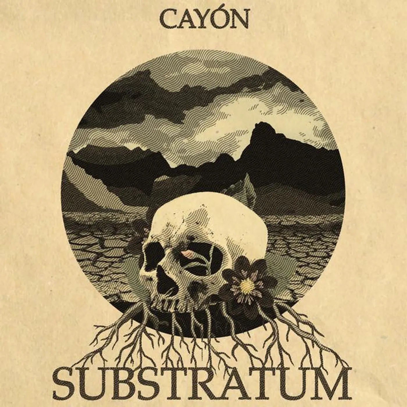 Cayón