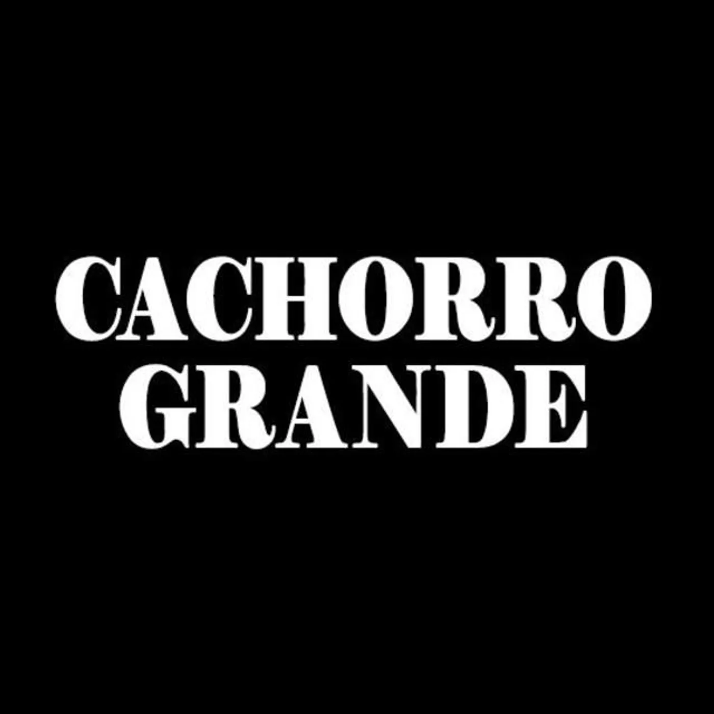 Cachorro Grande Brand Page