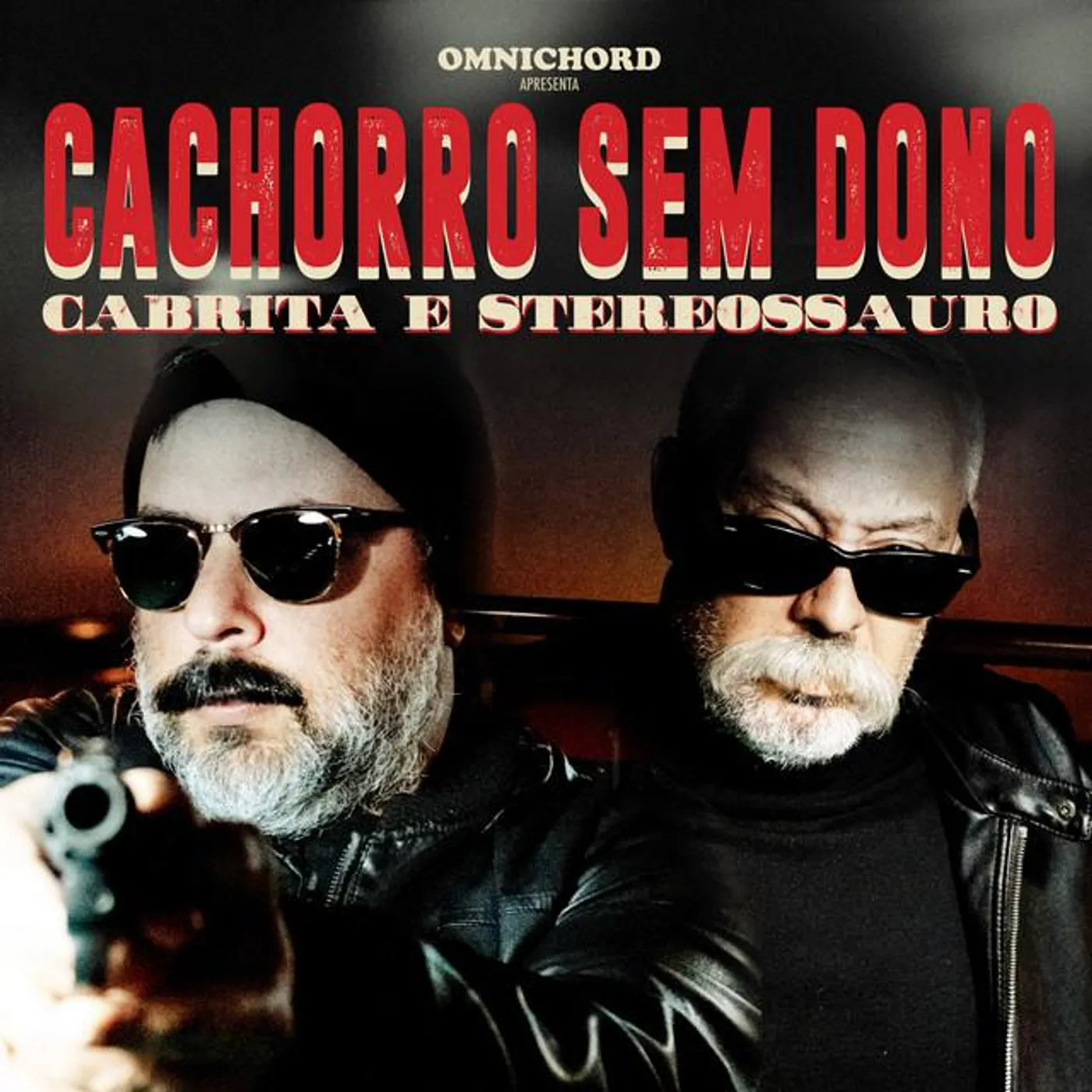 Cachorro Sem Dono Brand Page