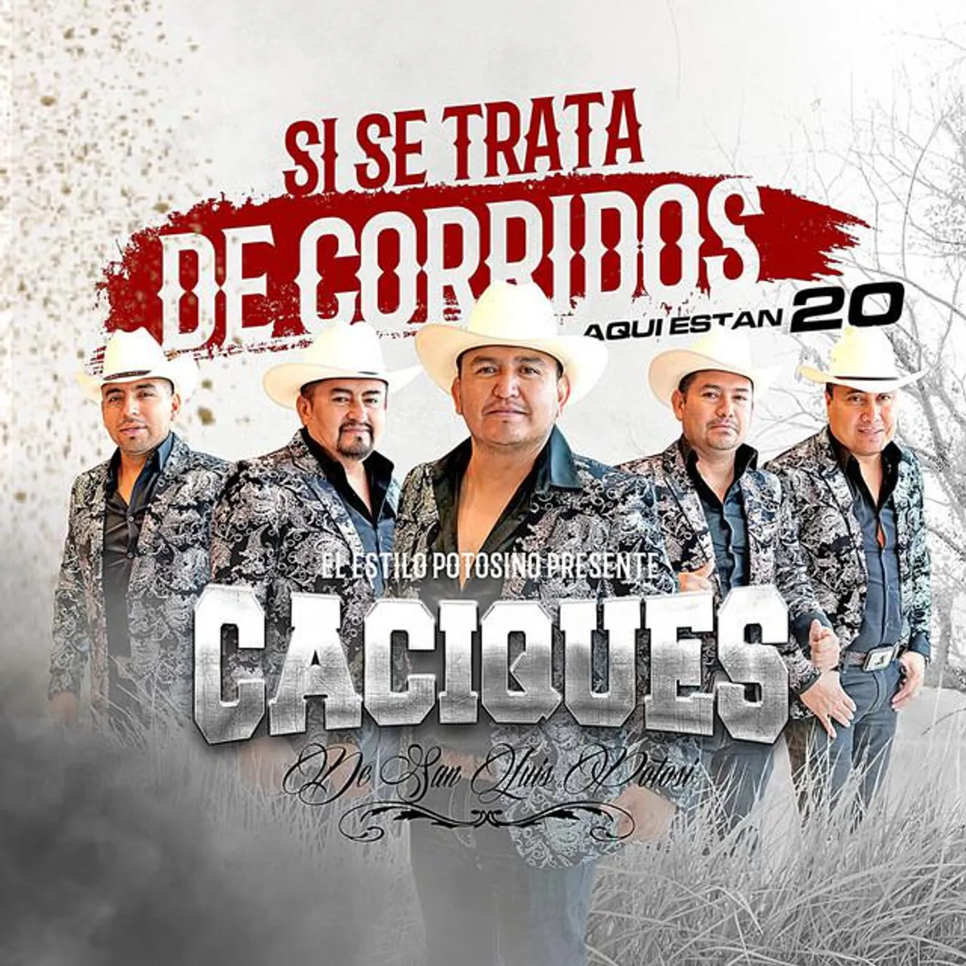 Caciques De San Luis Potosi Brand Page