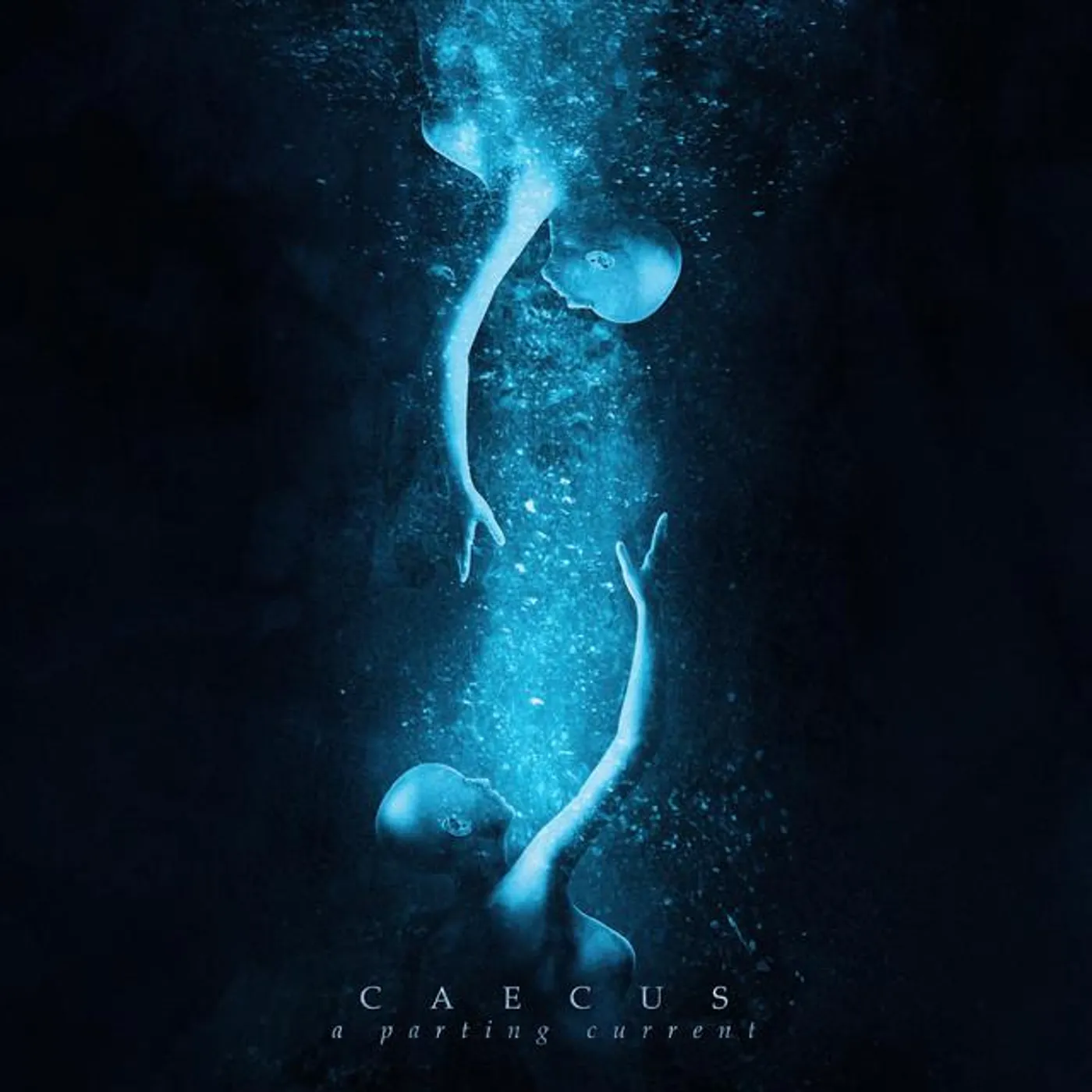 Caecus