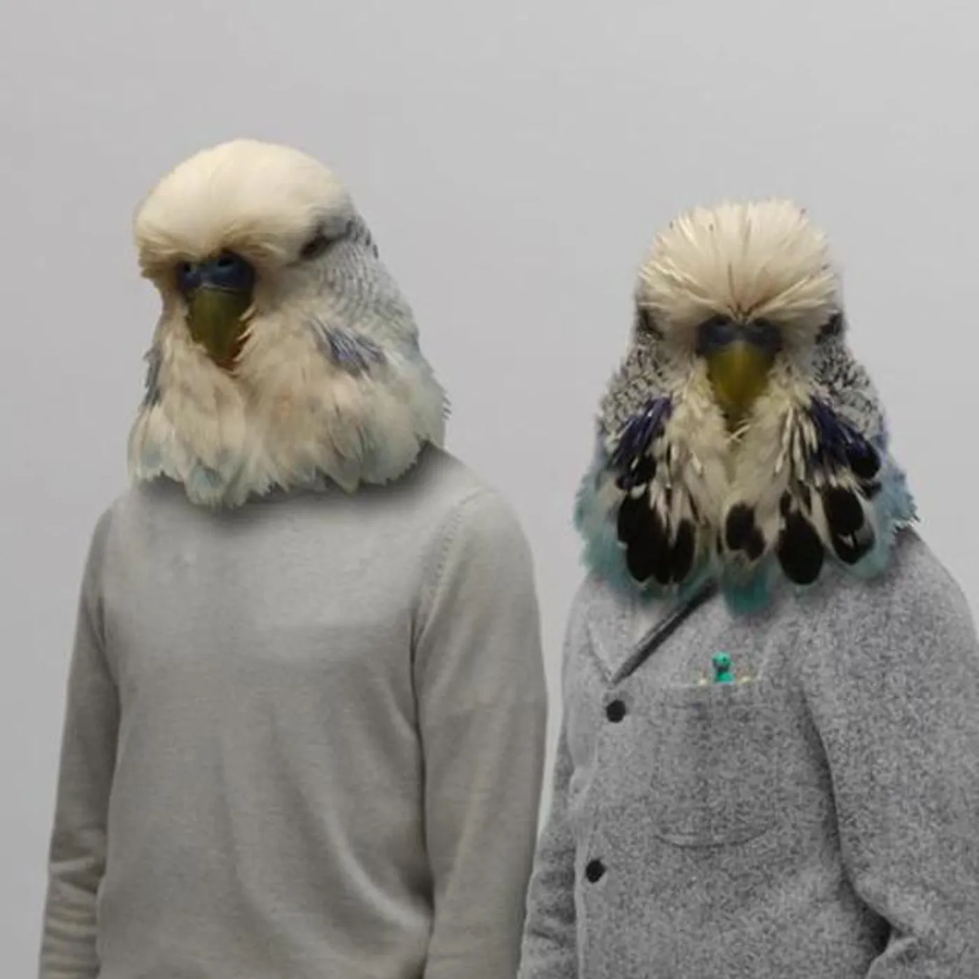 Cage & Aviary Brand Page