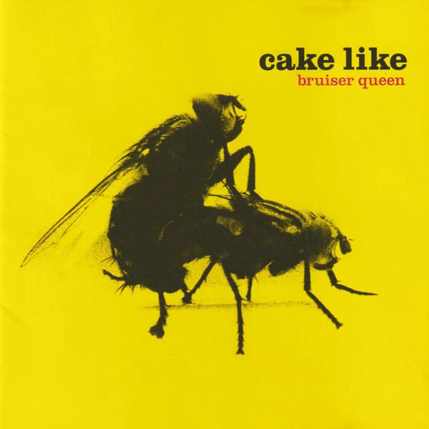 Cake Like