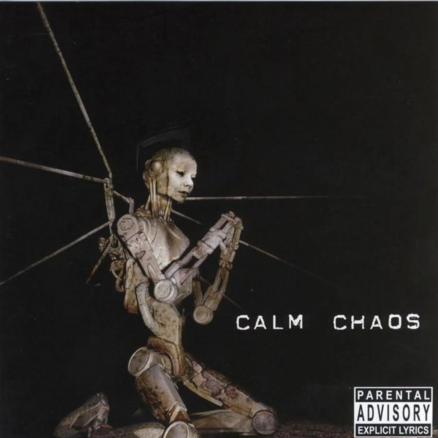 Calm Chaos