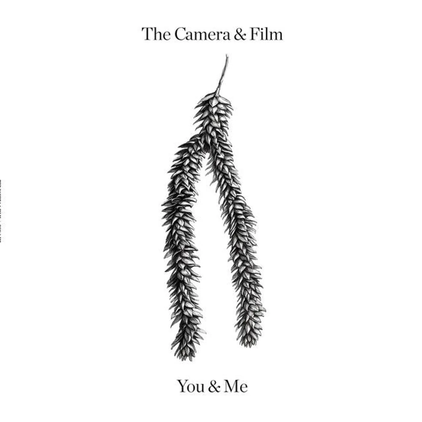 The Camera and Film