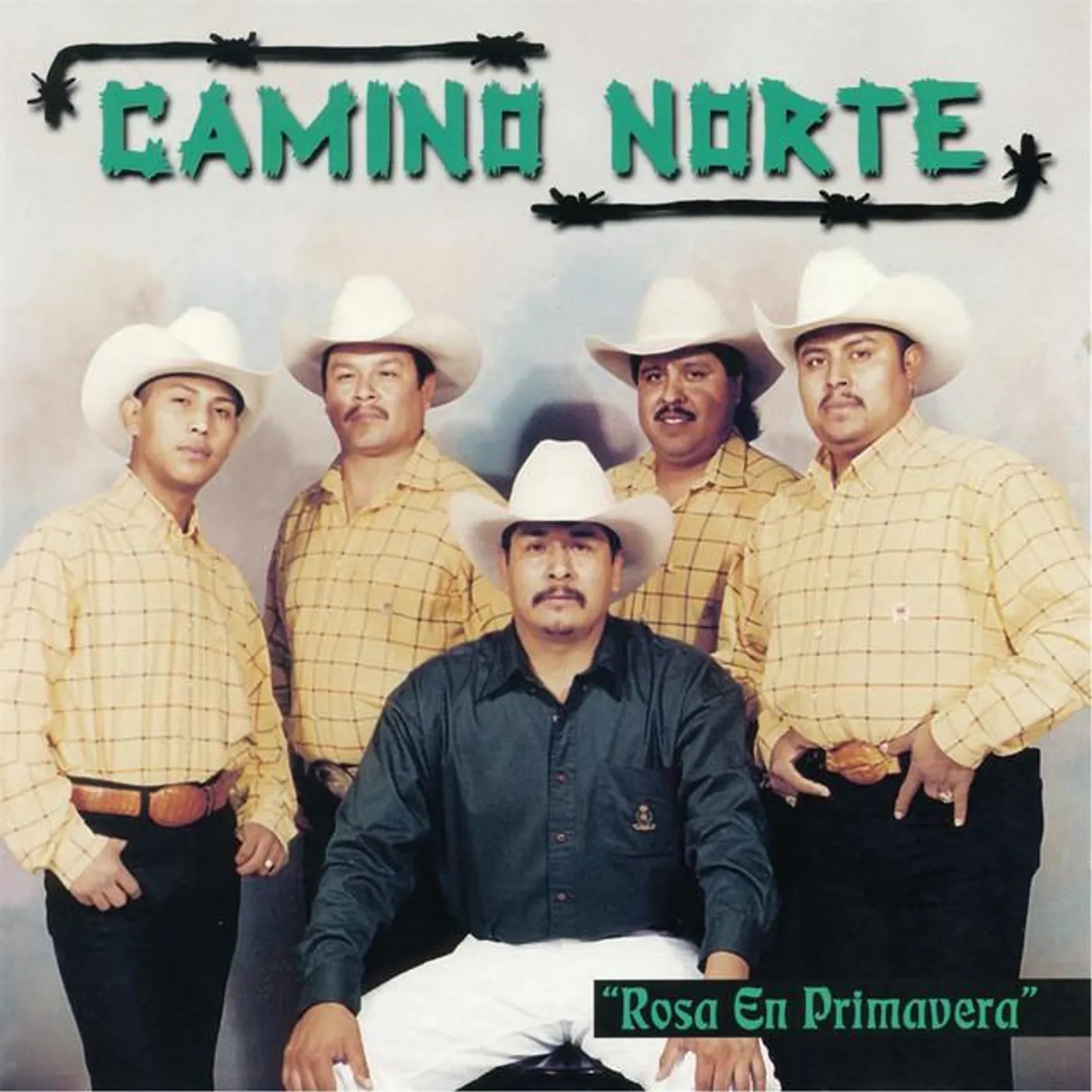 Camino Norte