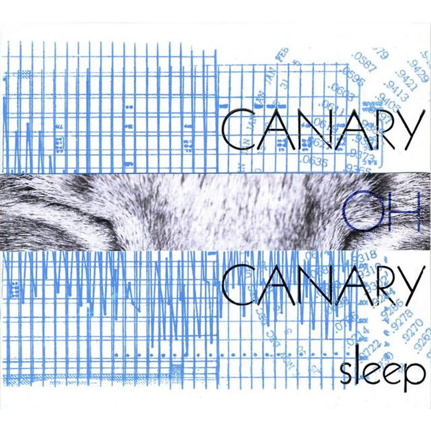 Canary Oh Canary