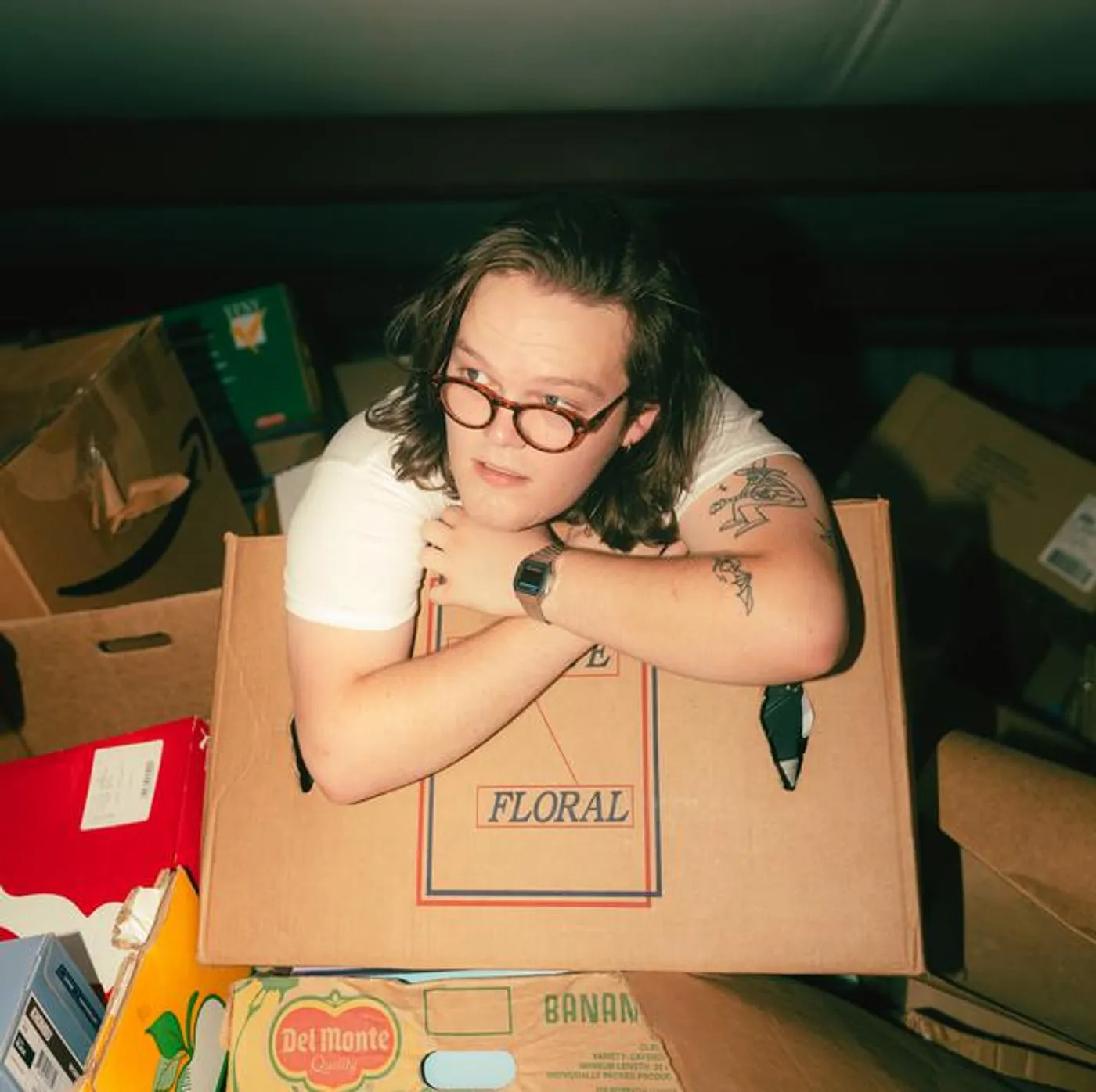 CannonandtheBoxes