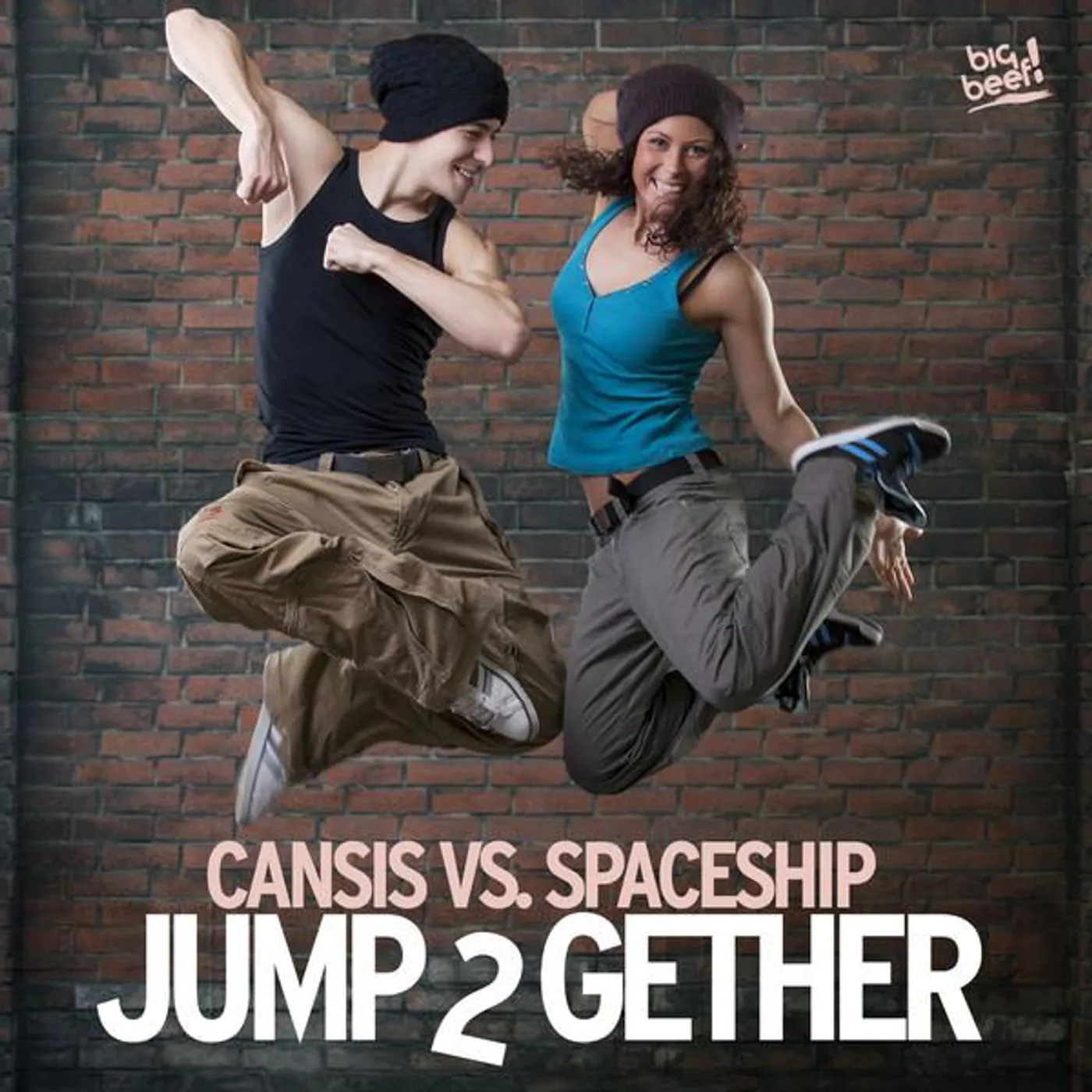 Cansis vs. Spaceship