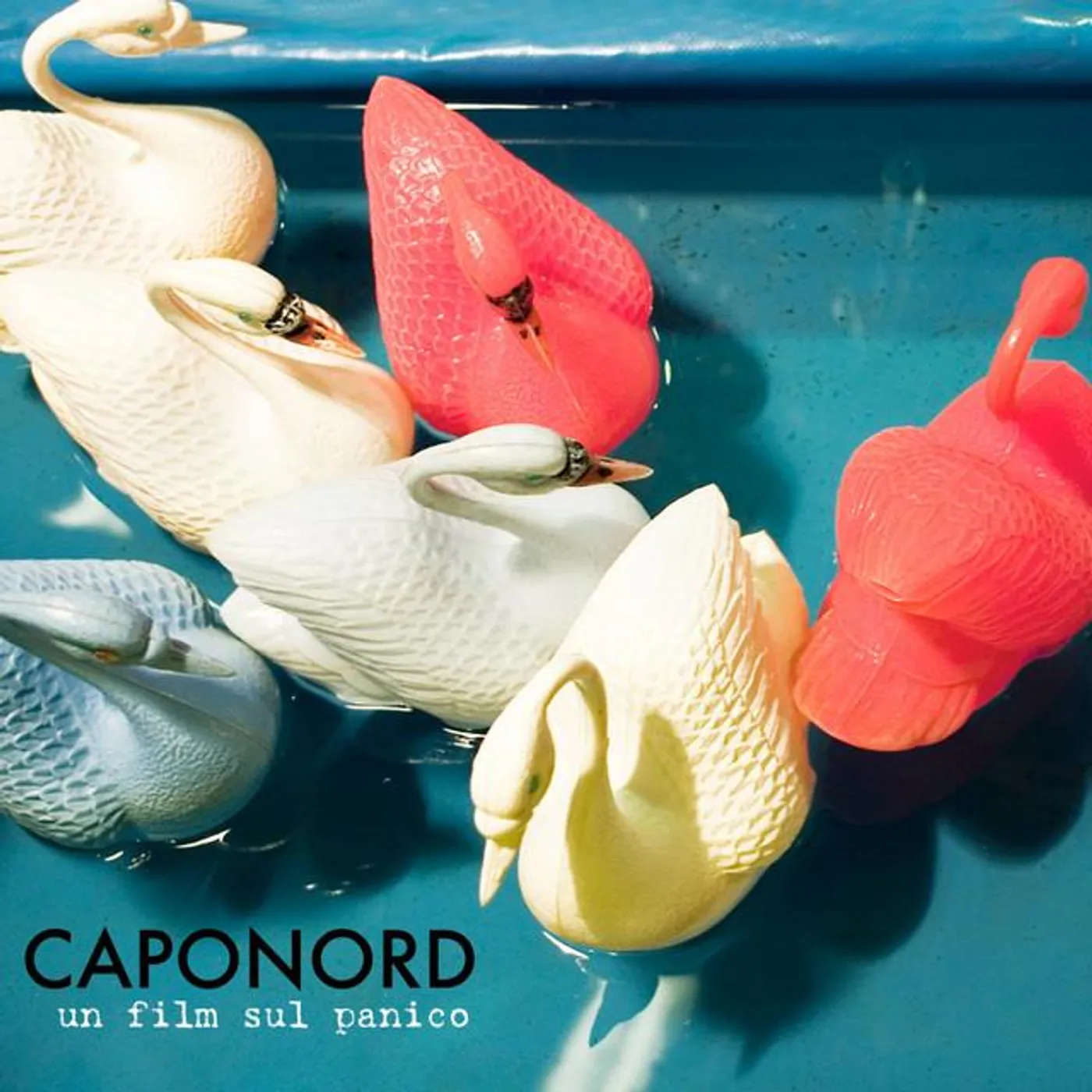 Caponord