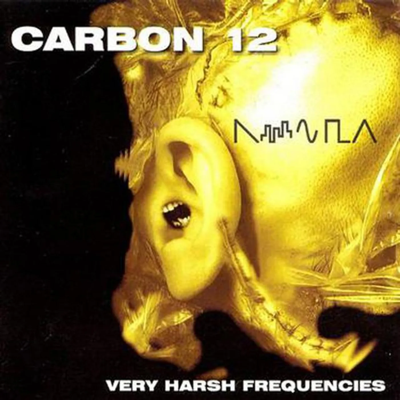 Carbon 12