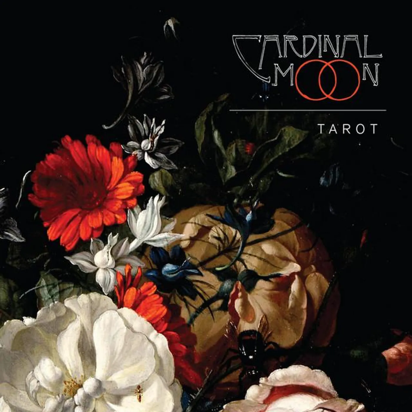 Cardinal Moon Brand Page