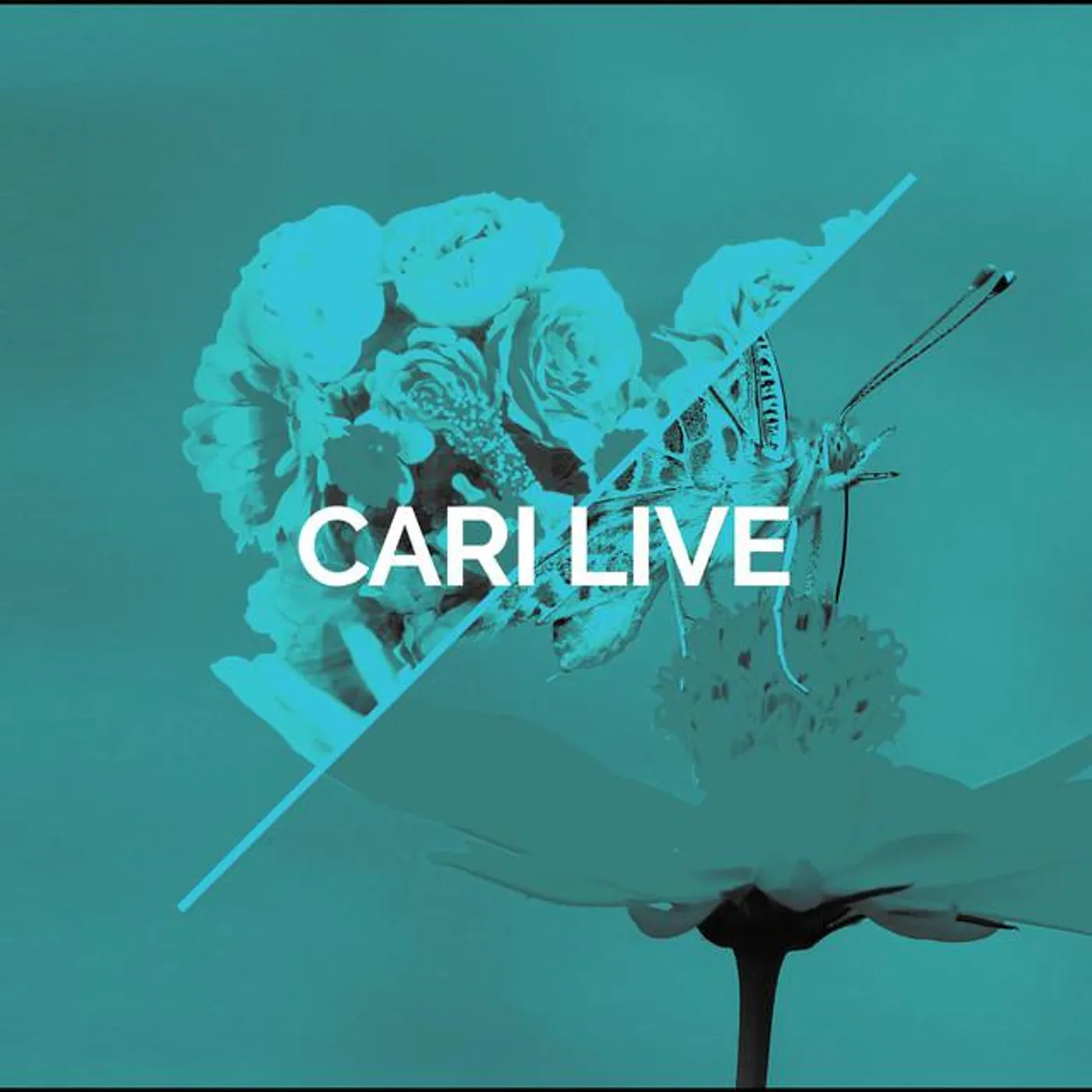 Cari Live