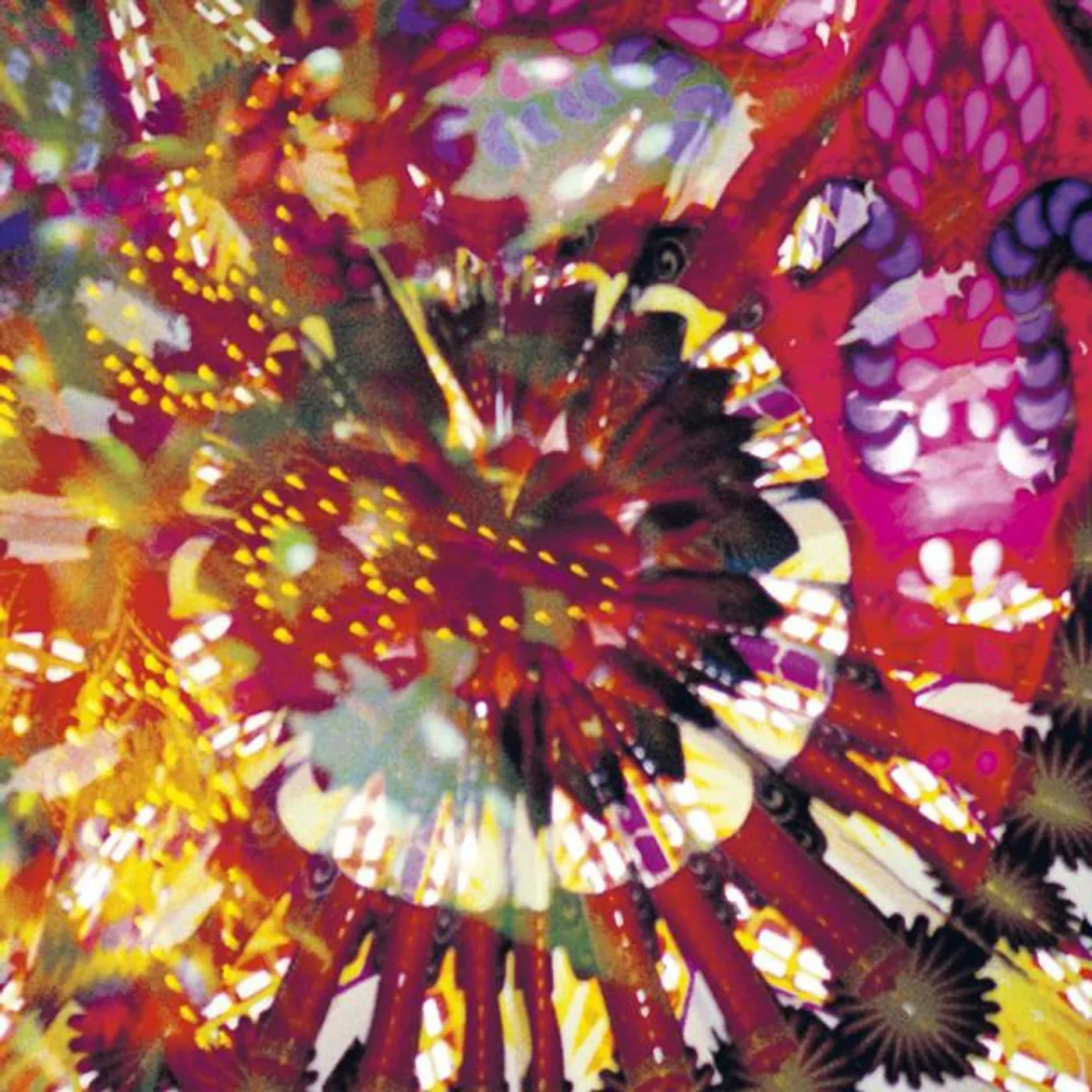 Caribou Vibration Ensemble Brand Page