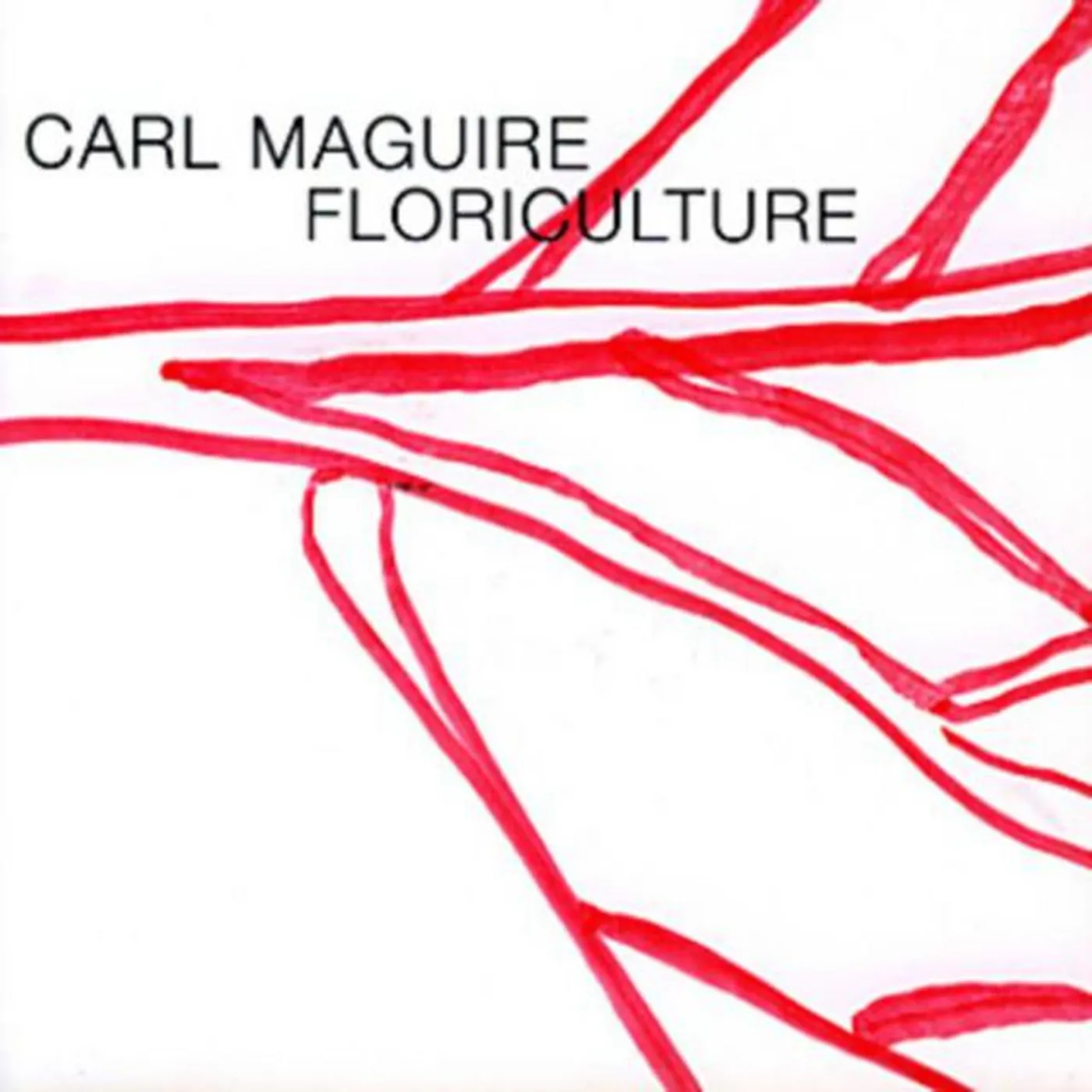 Carl Maguire Brand Page
