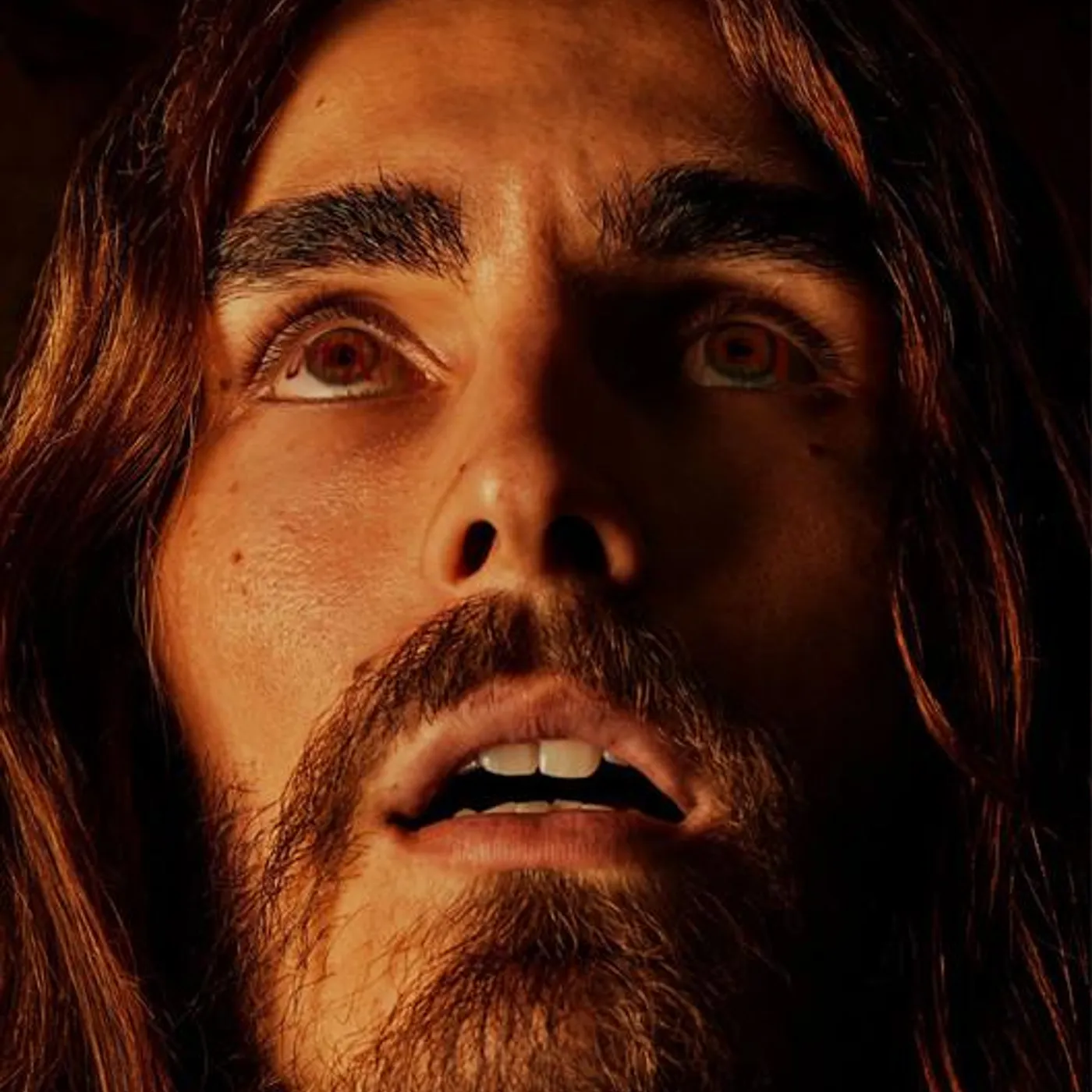 Carlos Ares Brand Page