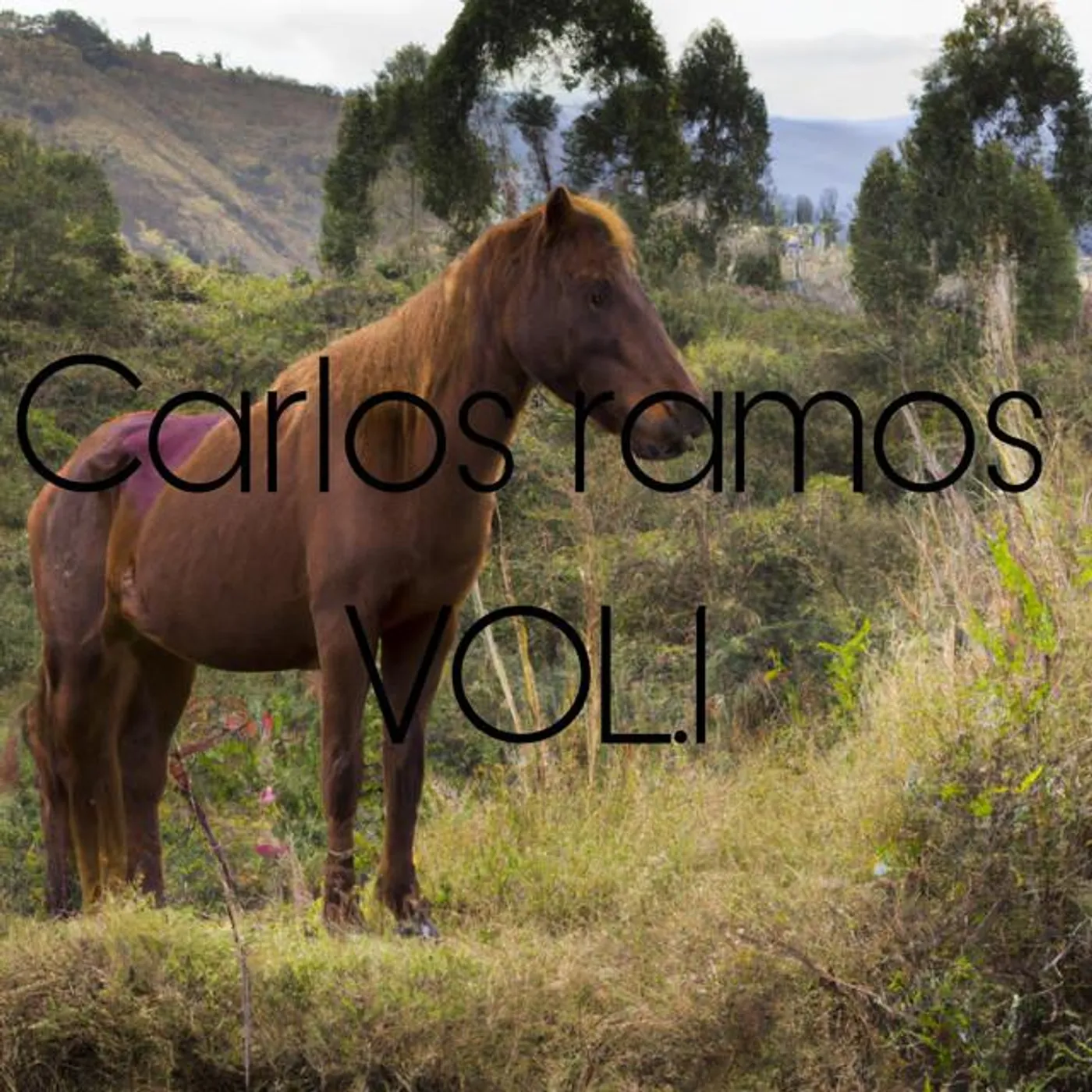 Carlos Ramos
