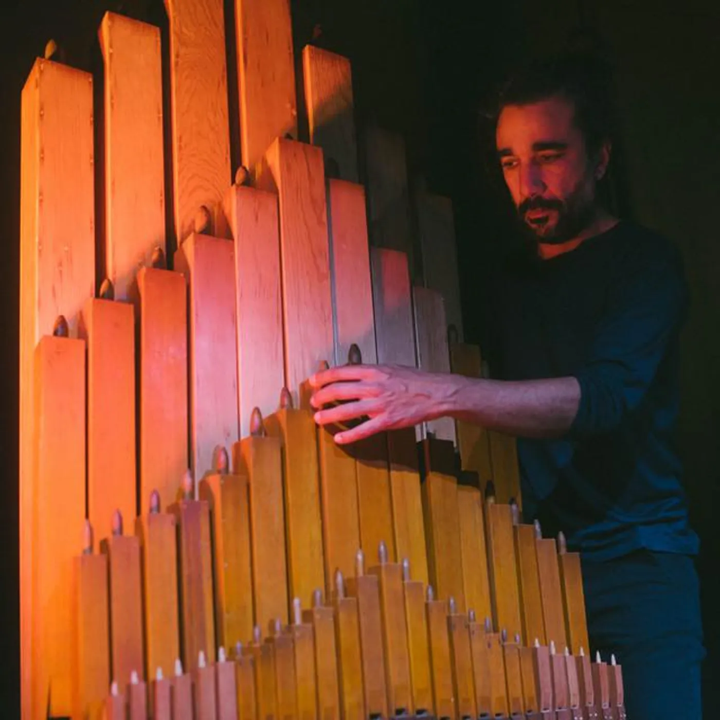 Carles Viarnès