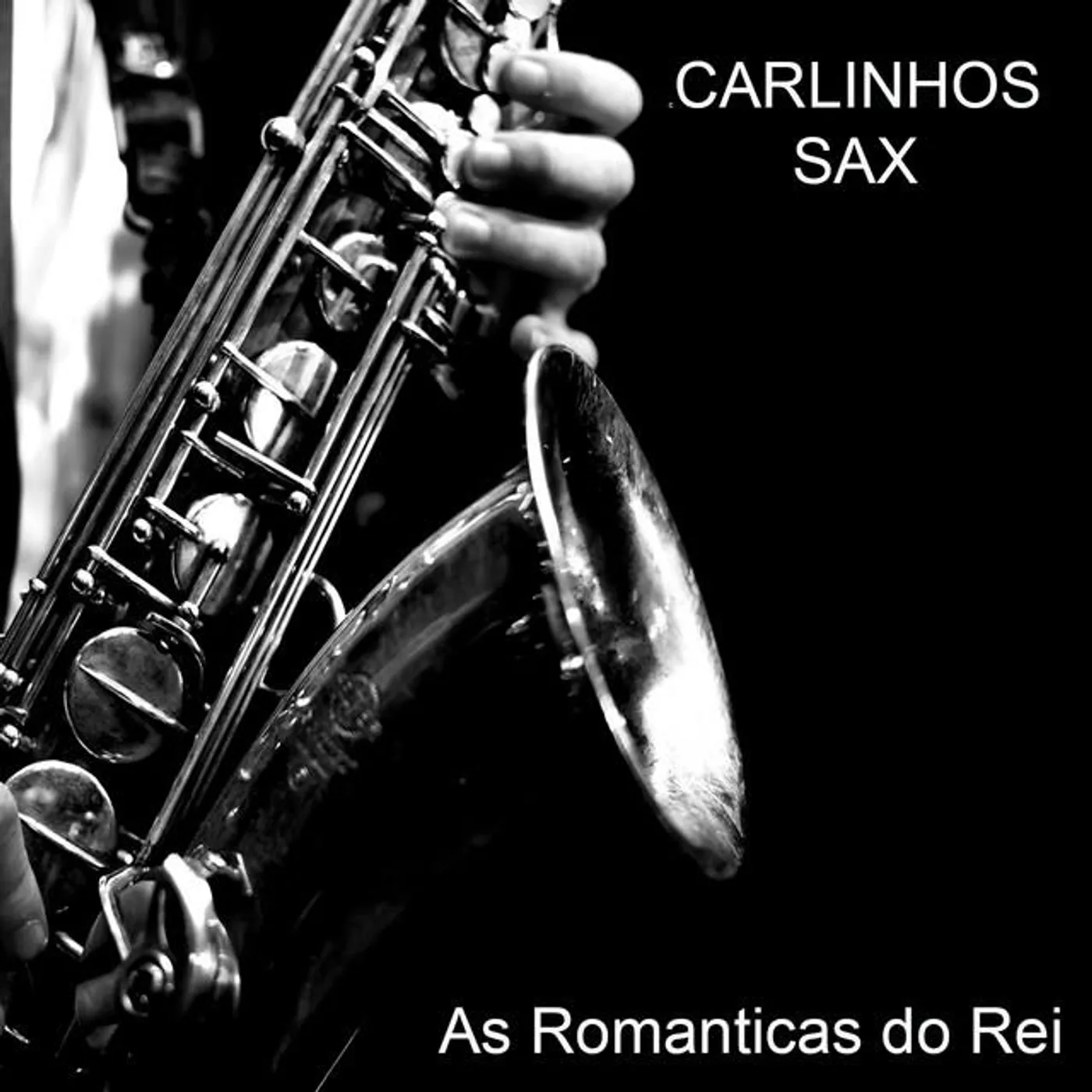 Carlinhos Sax Brand Page