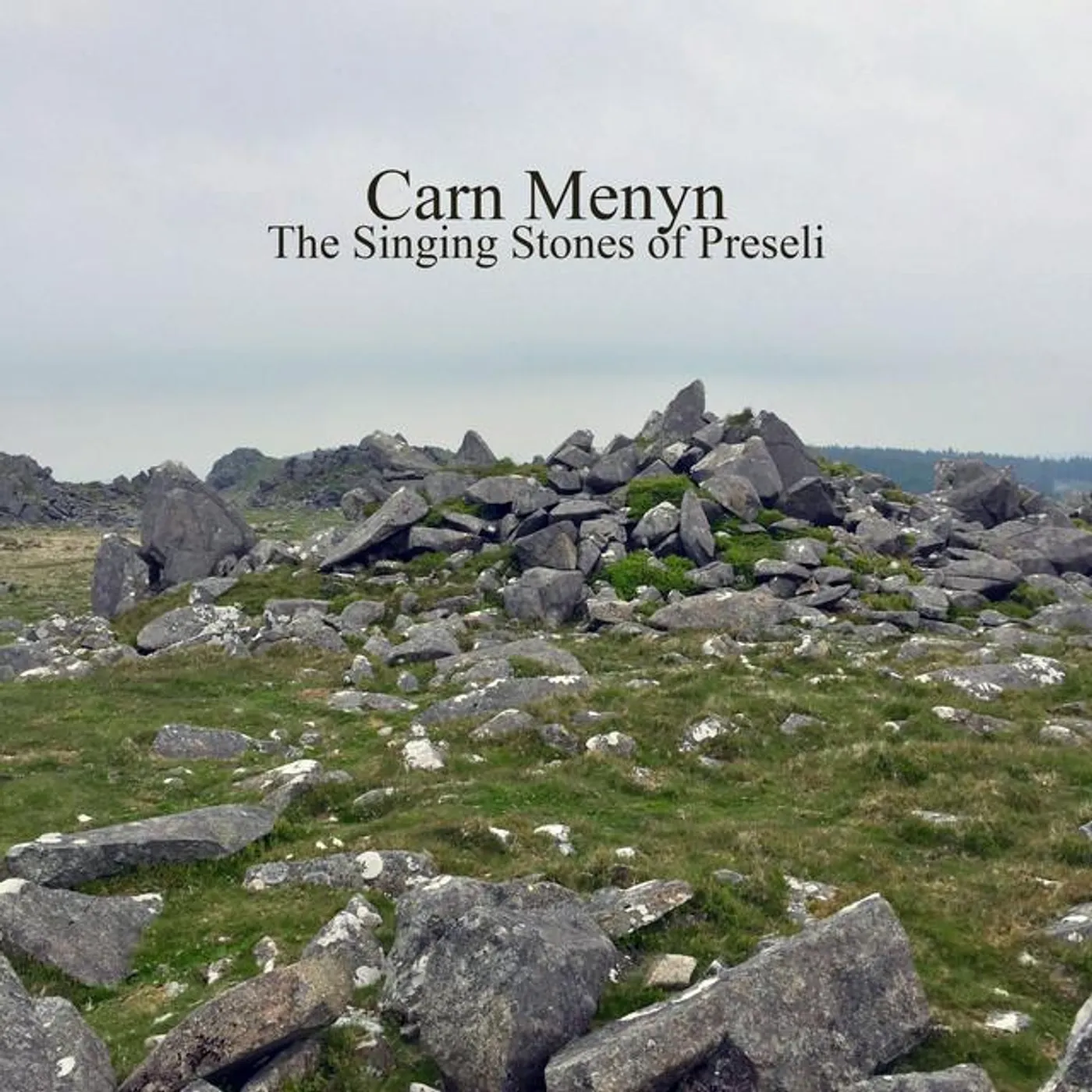 Carn Menyn Brand Page