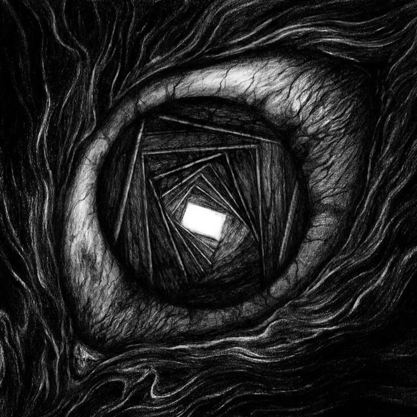 Carpe Noctem