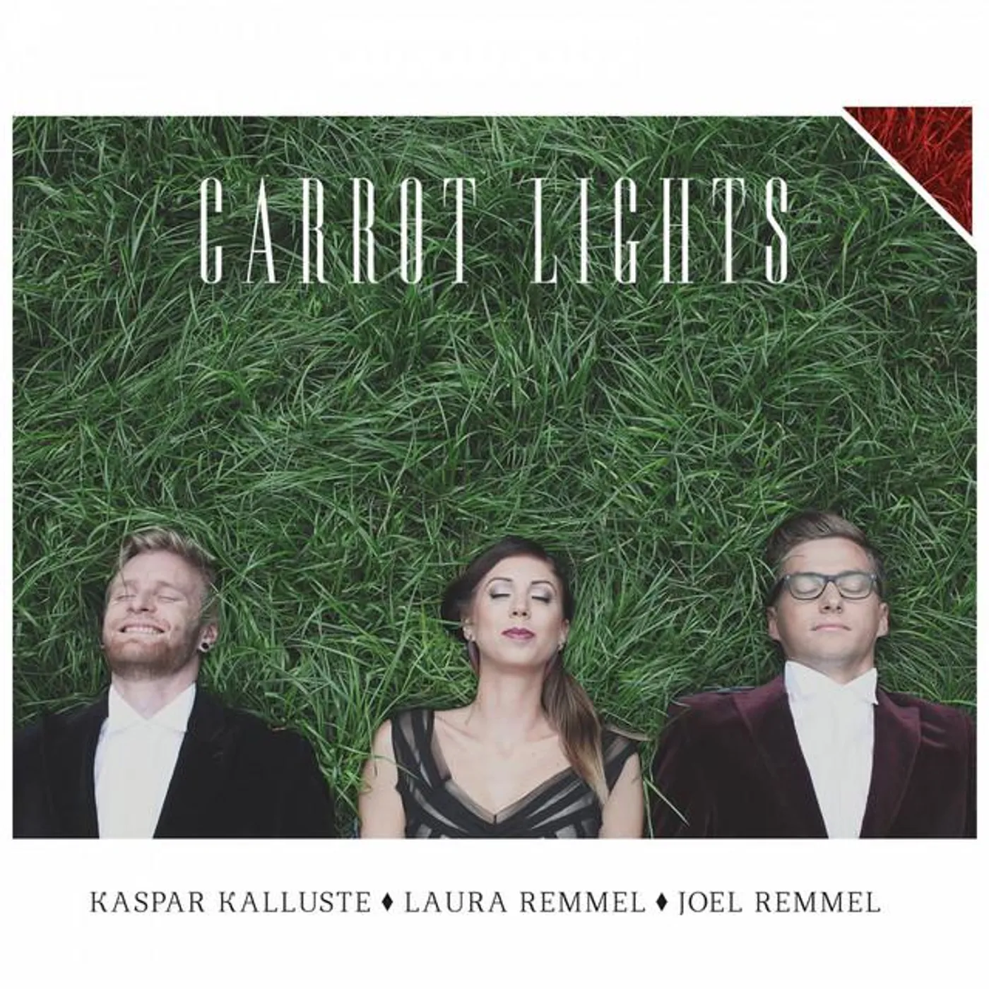 Carrot Lights