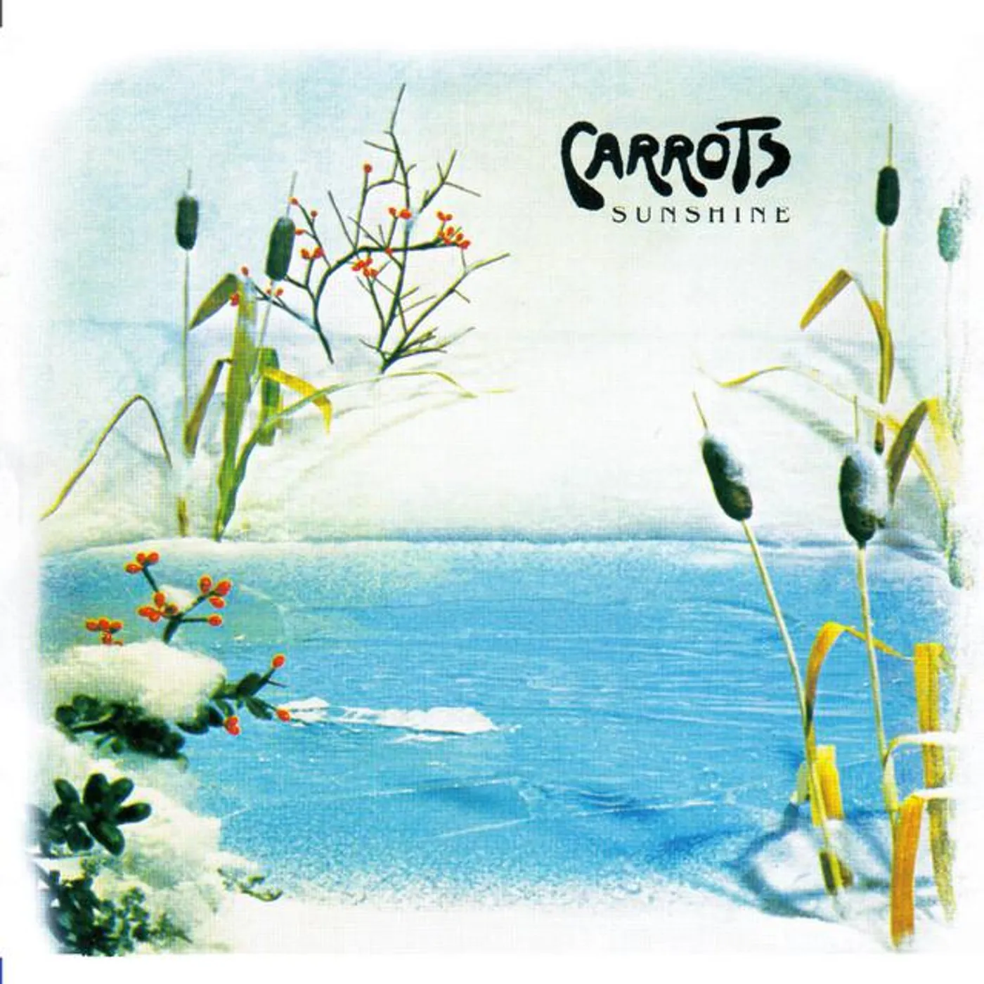 Carrots
