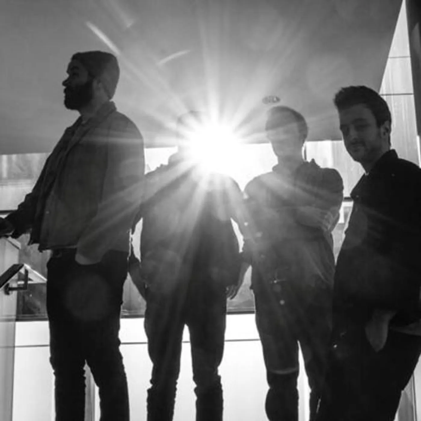 Casa Lagarto Brand Page