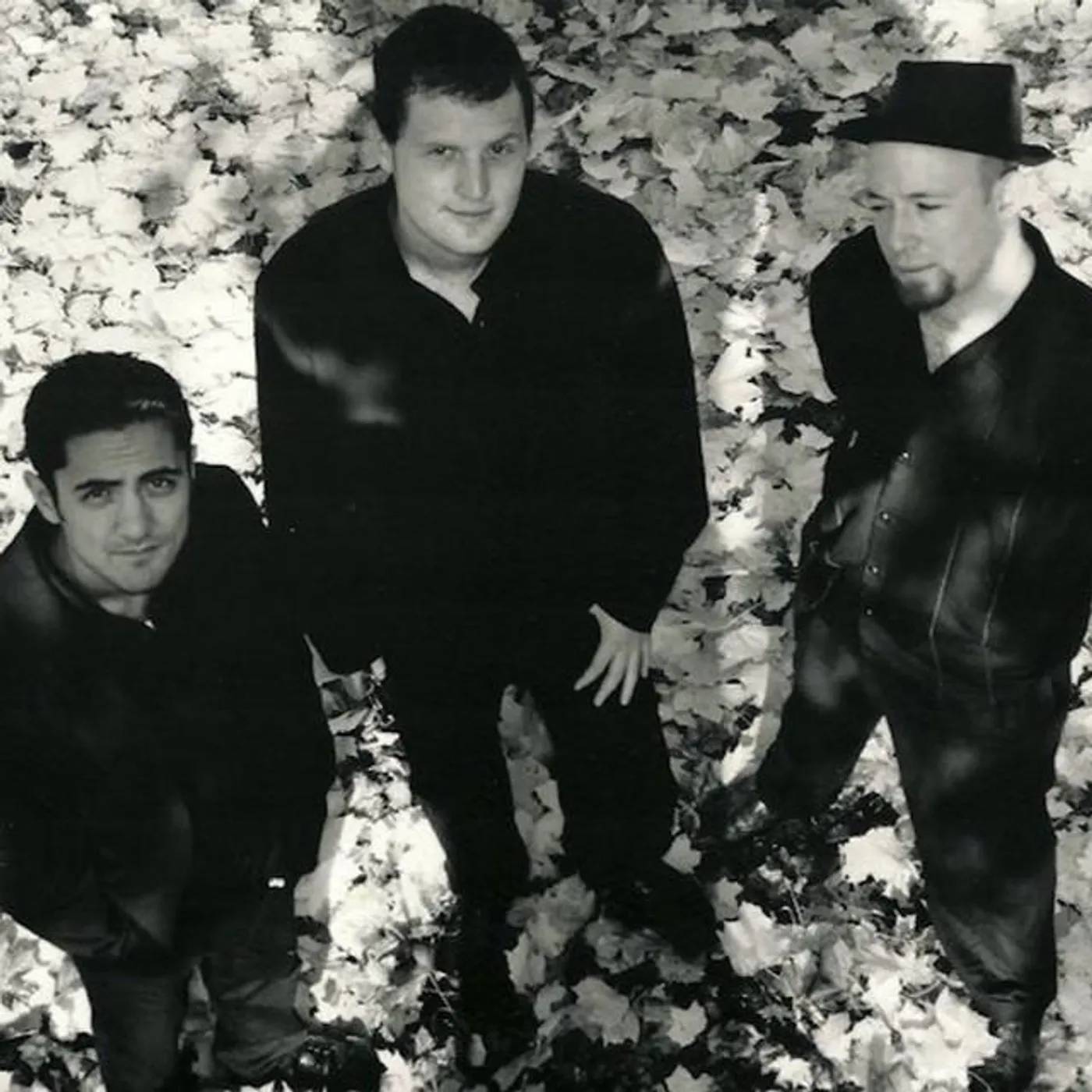 Casey Neill Trio Brand Page