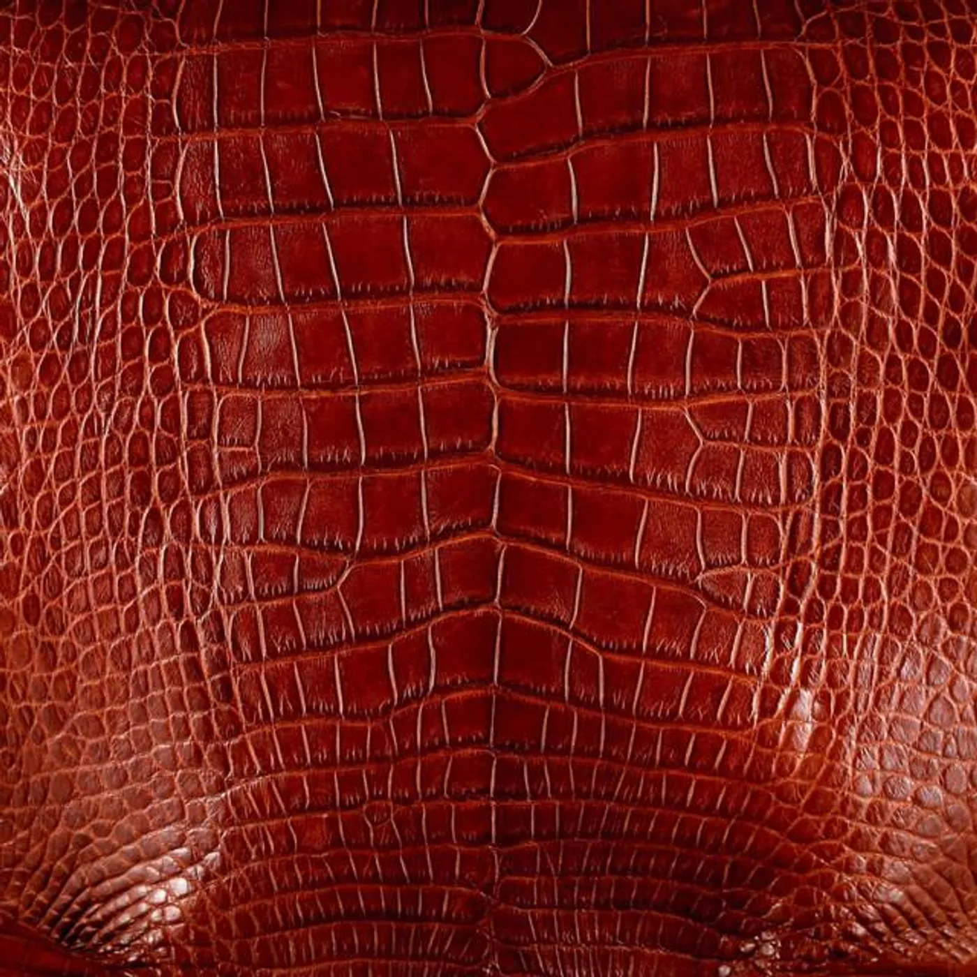 CC Adcock & The Lafayette Marquis