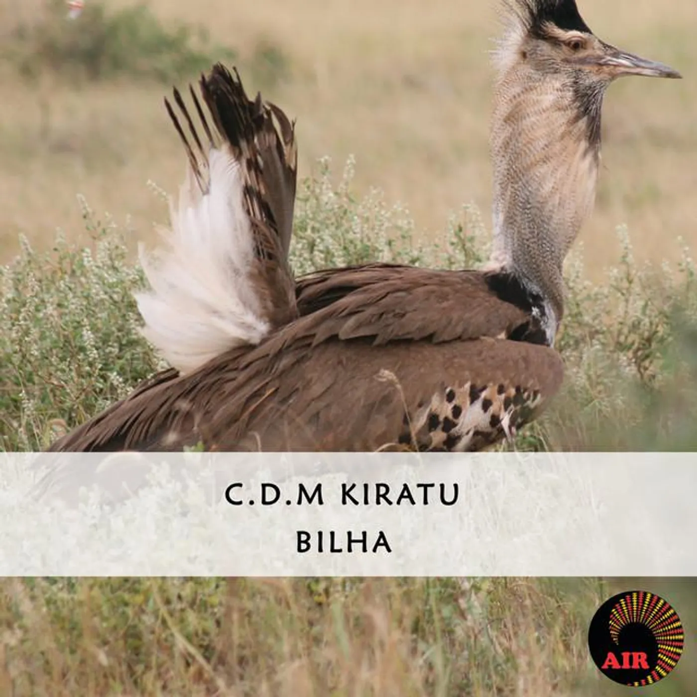 CDM Kiratu