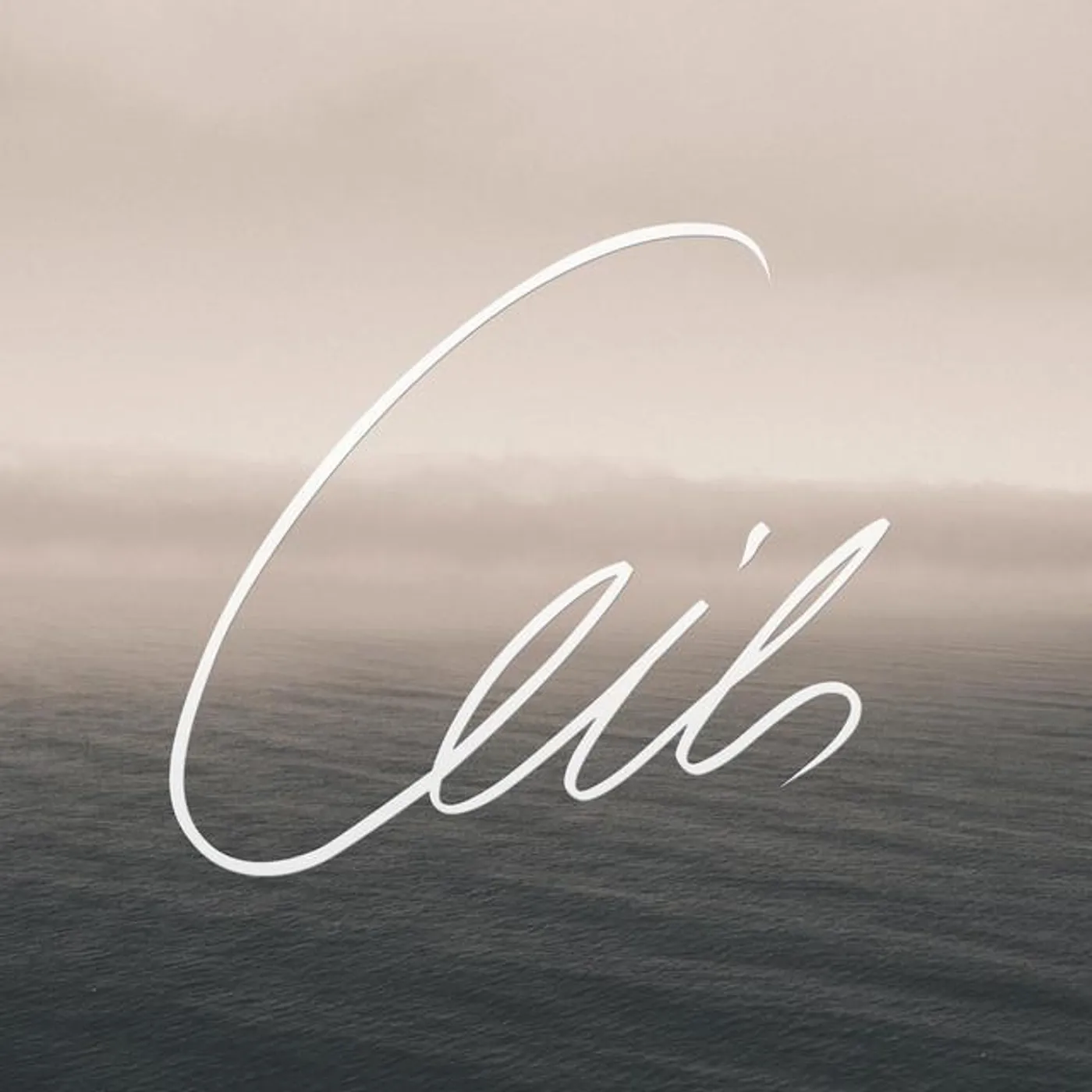 Ceils Brand Page