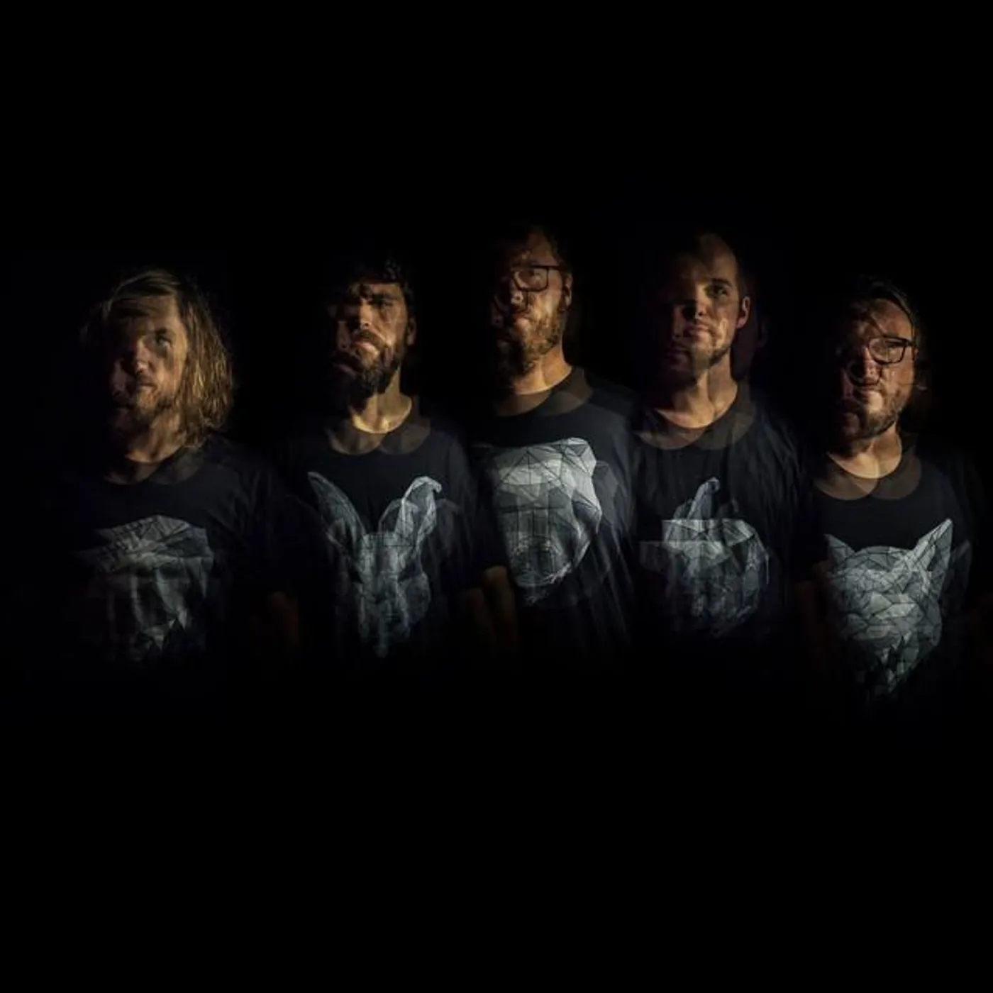 Celestial Wolves