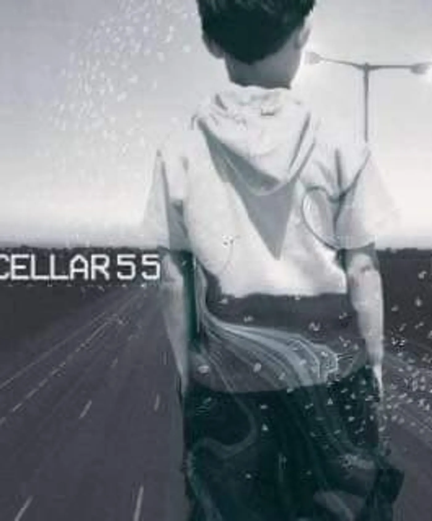 Cellar 55