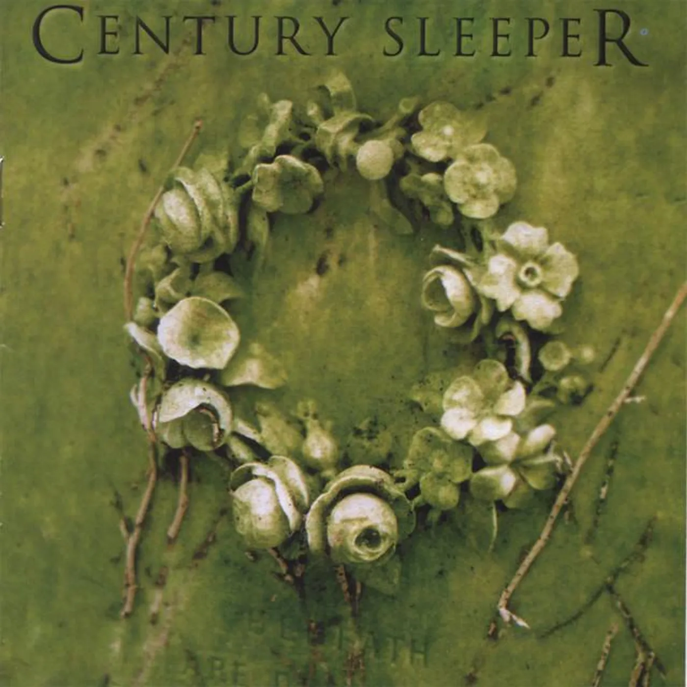 Century Sleeper