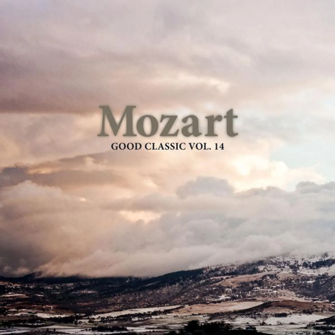 Chamber Orchestra Armonie Brand Page