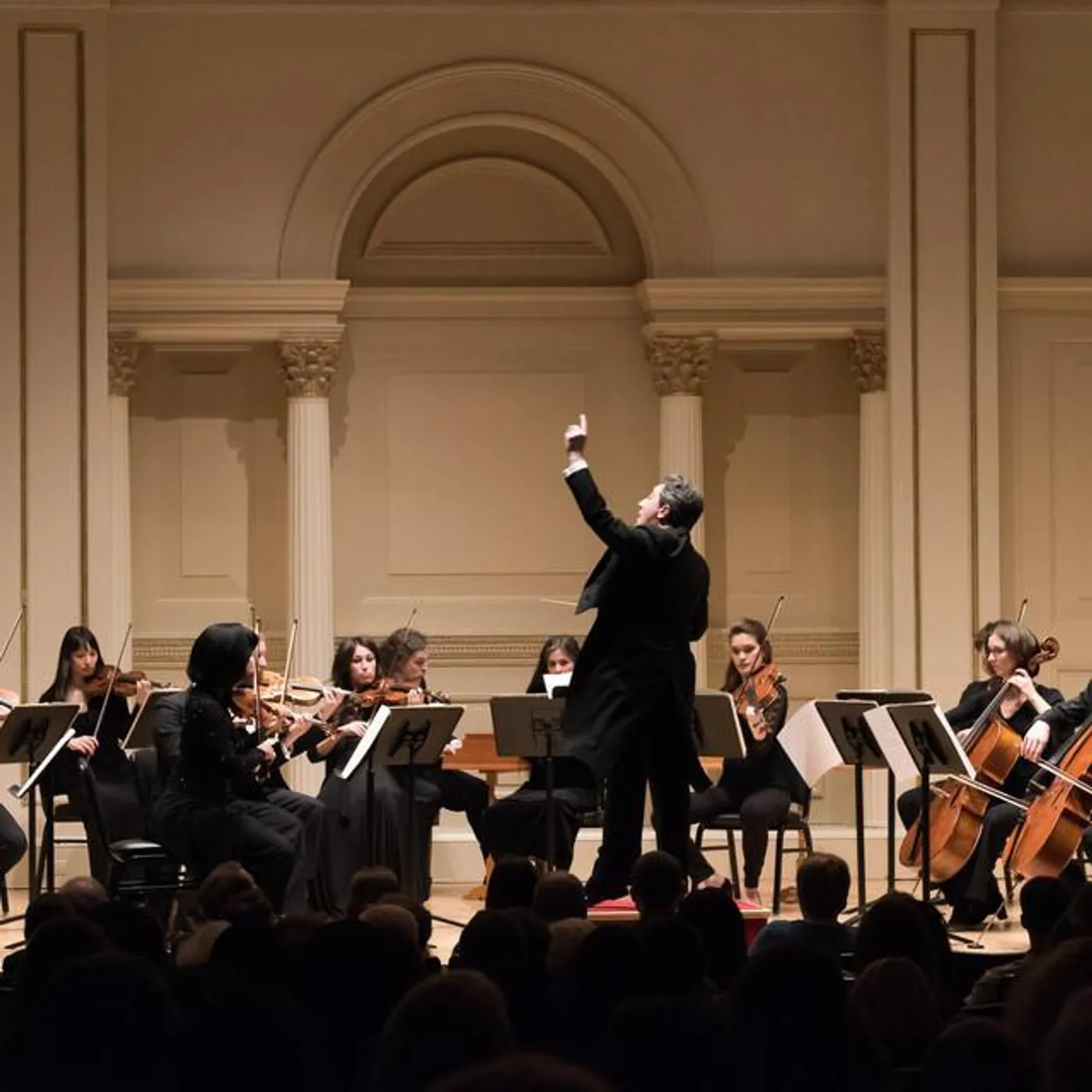 Chamber Orchestra of New York Brand Page